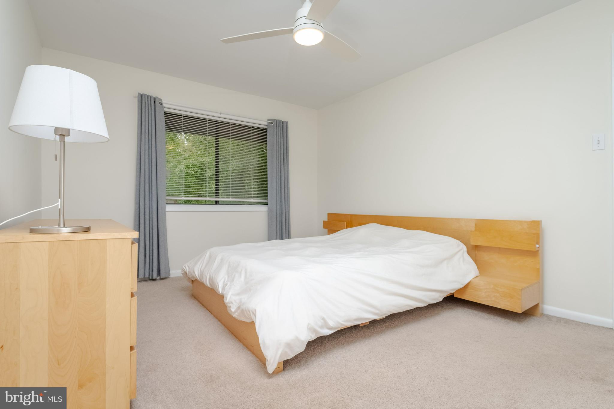 CINNAMON TREE - Residential