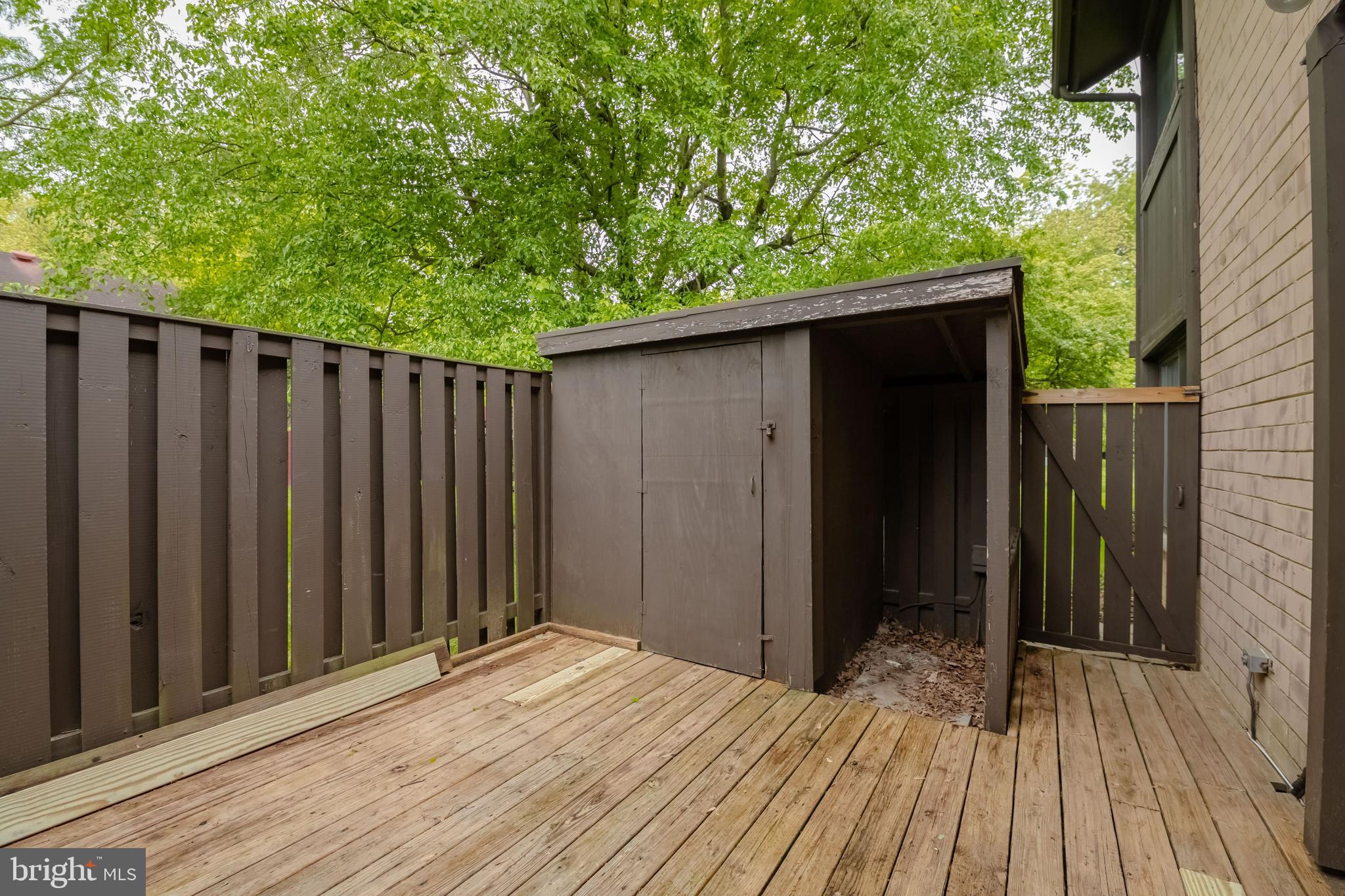 CINNAMON TREE - Residential