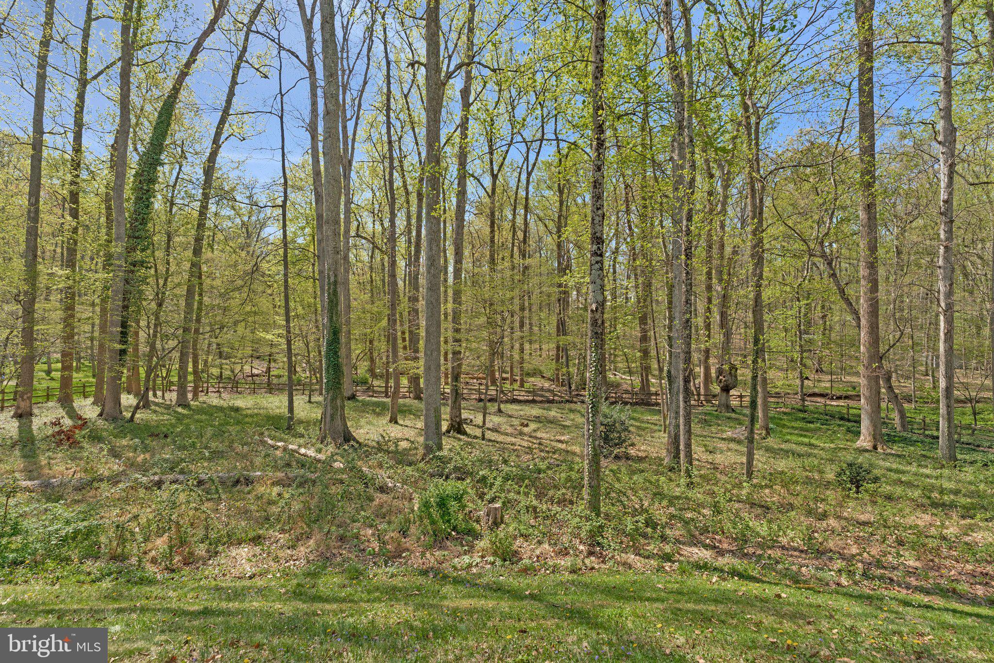 WOODSIDE ESTATES - Residential