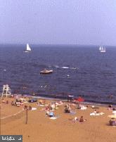 STILL POND - Residential Lease