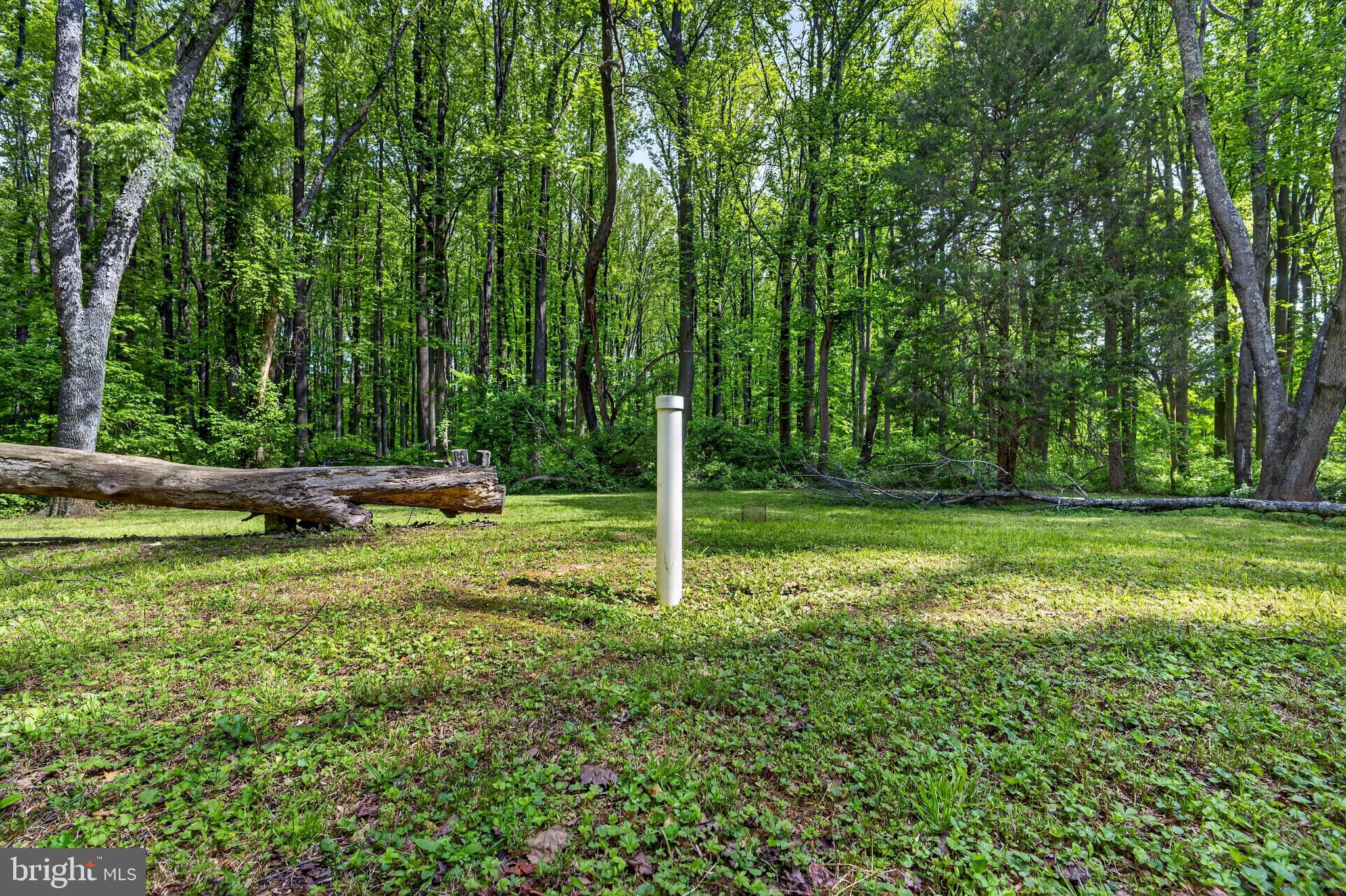39600 BLUEGRASS LANE
