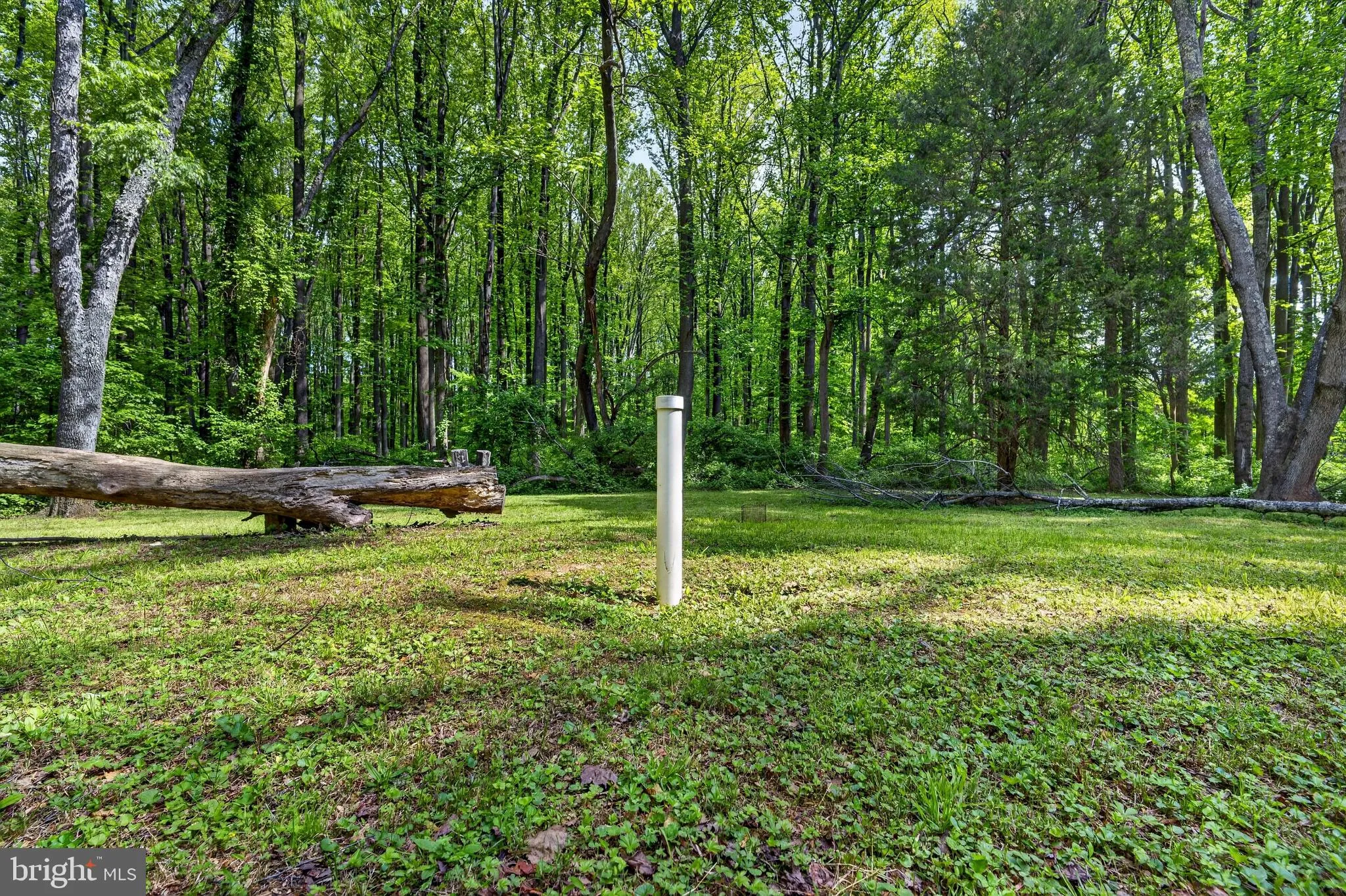 Additional image 23 of 39600 Bluegrass Lane, Aldie, VA 20105
