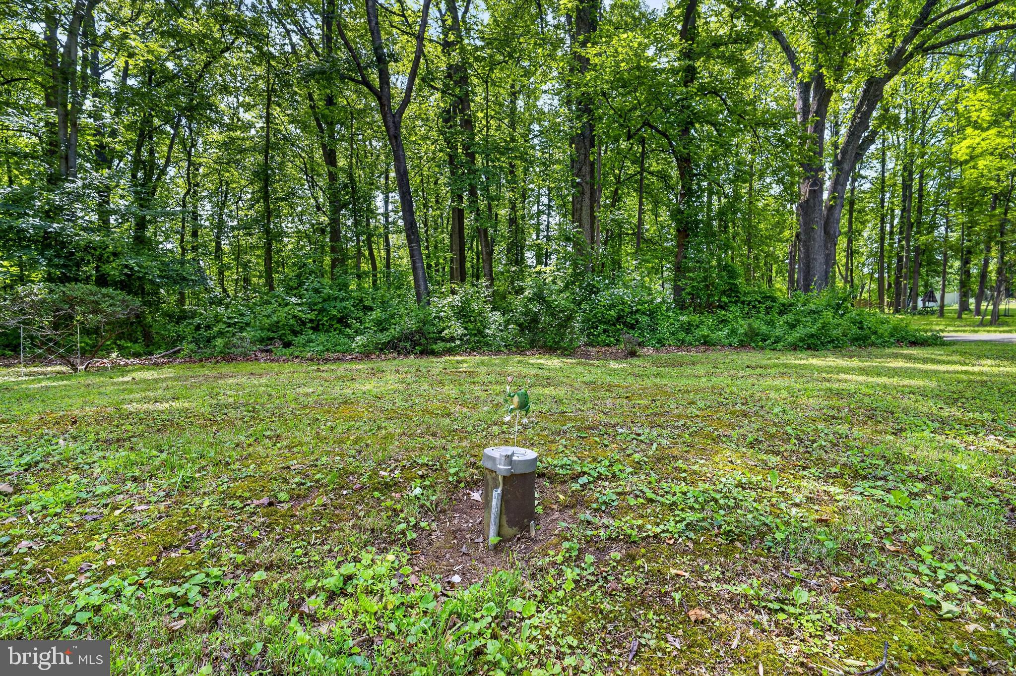 39600 BLUEGRASS LANE