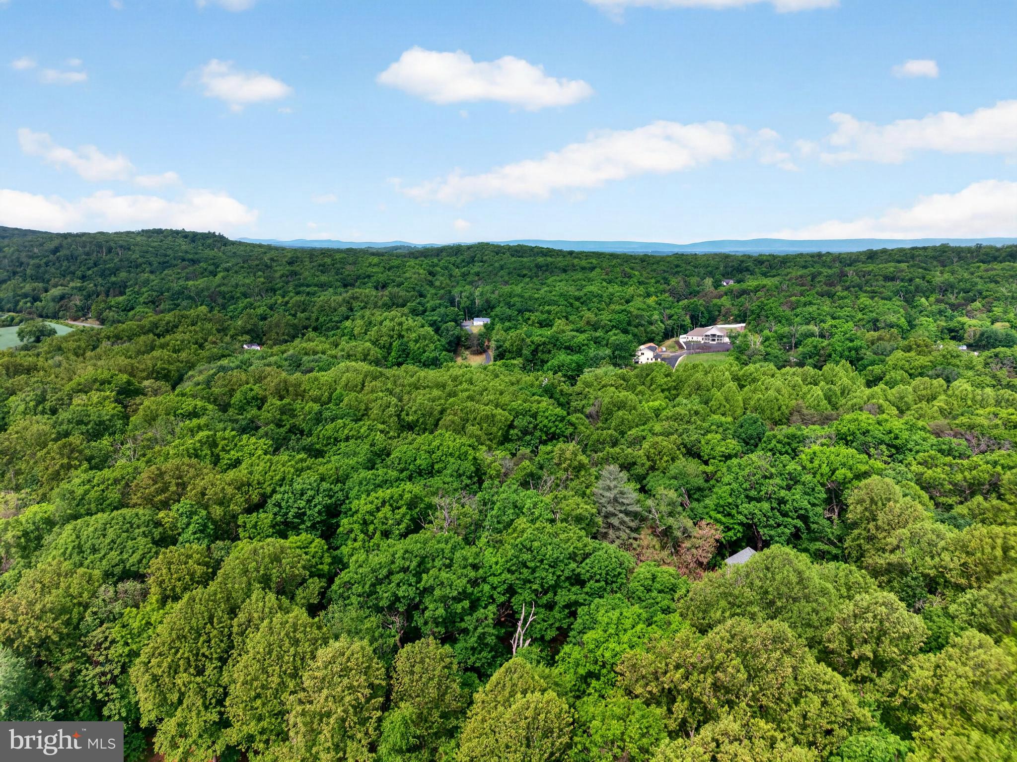ALDIE MEADOWS - Residential