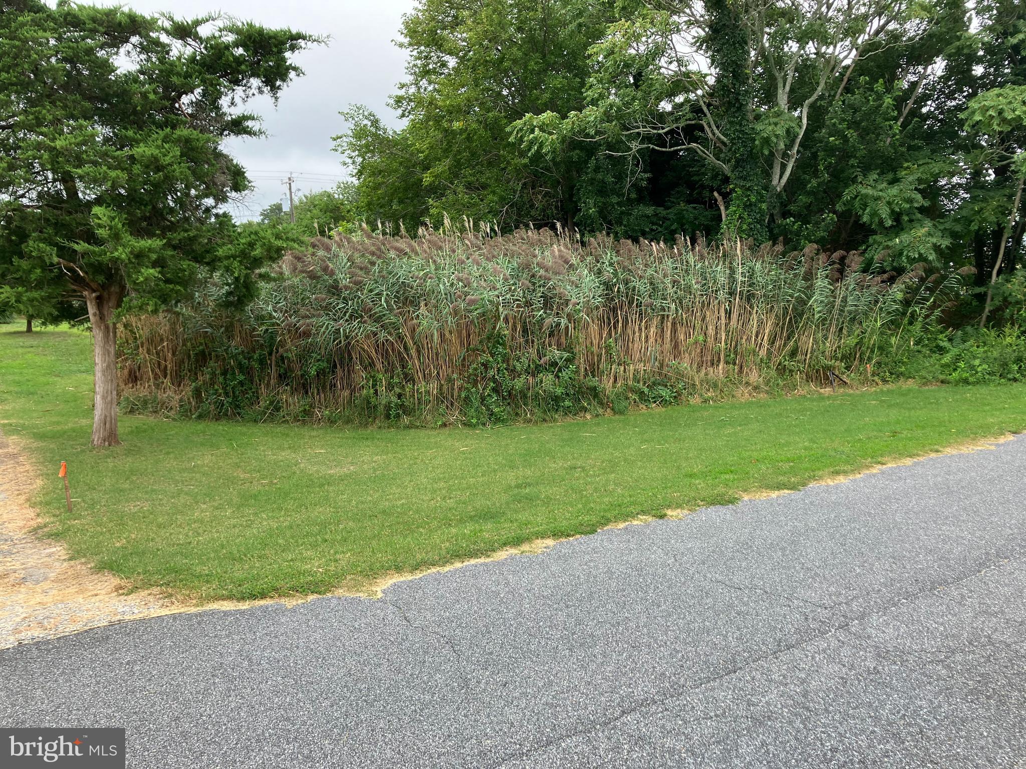 Lot 517 BEACH PLUM DRIVE