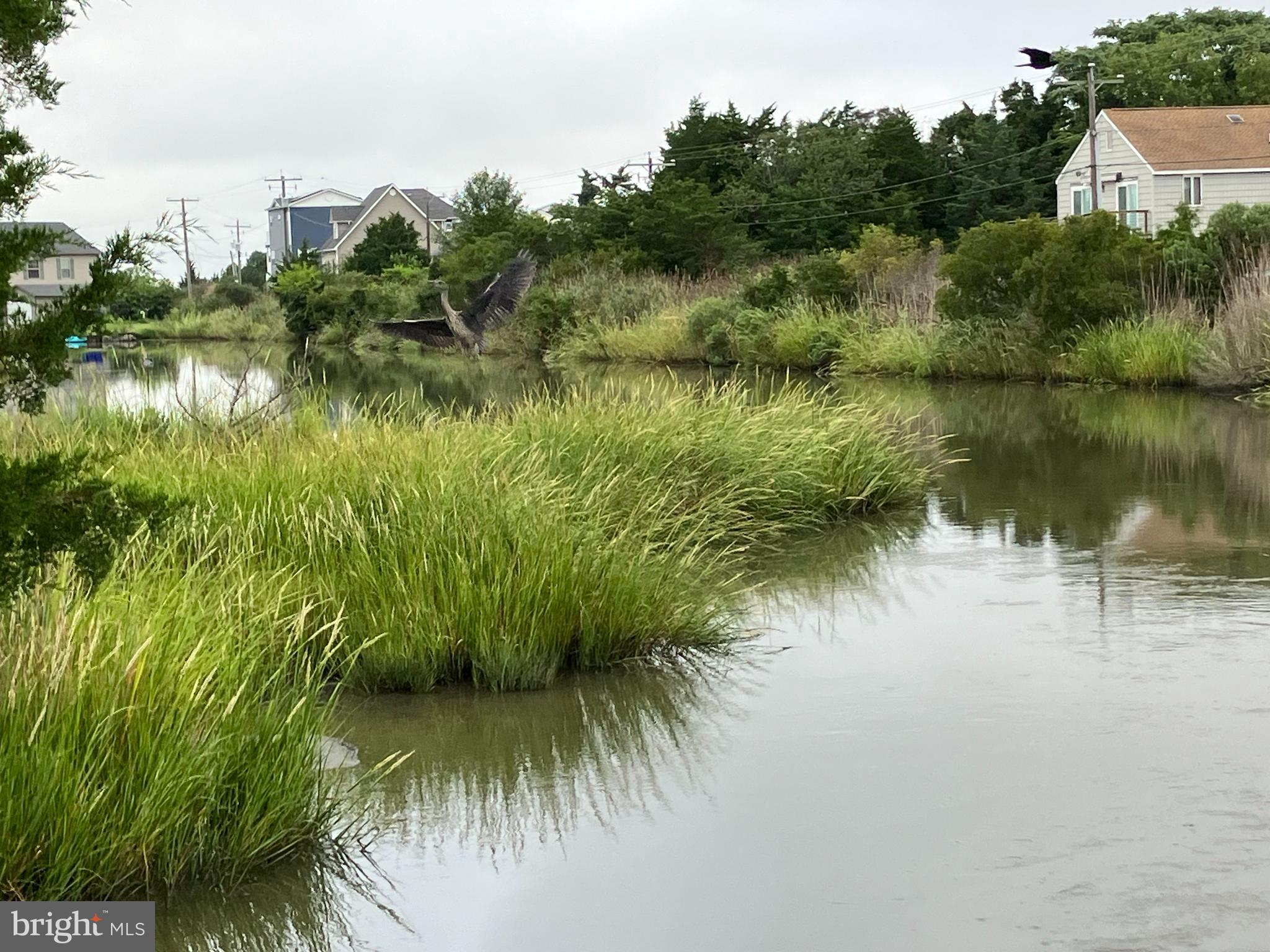 Lot 517 BEACH PLUM DRIVE