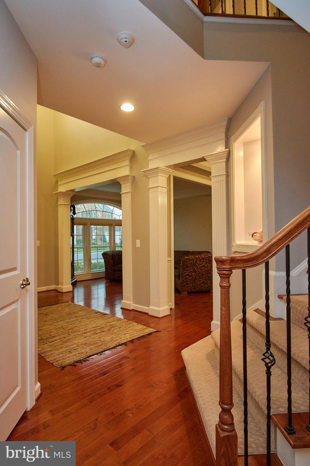 BURGUNDY WOODS - Residential