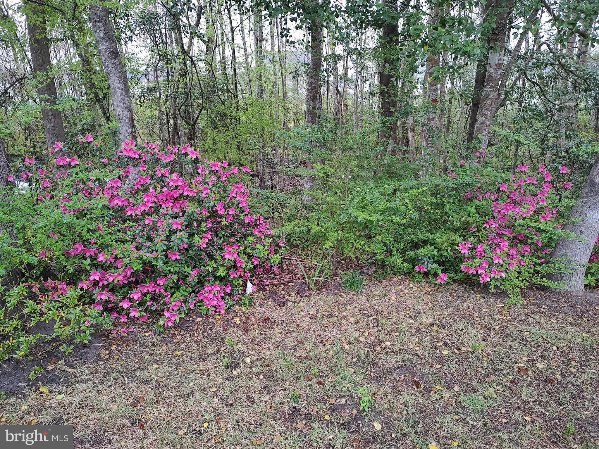 KNOLLAND - Residential