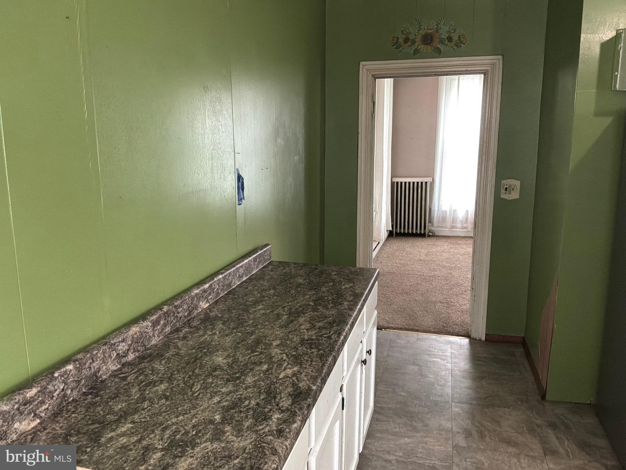 DOWNTOWN WAYNESBORO - Residential