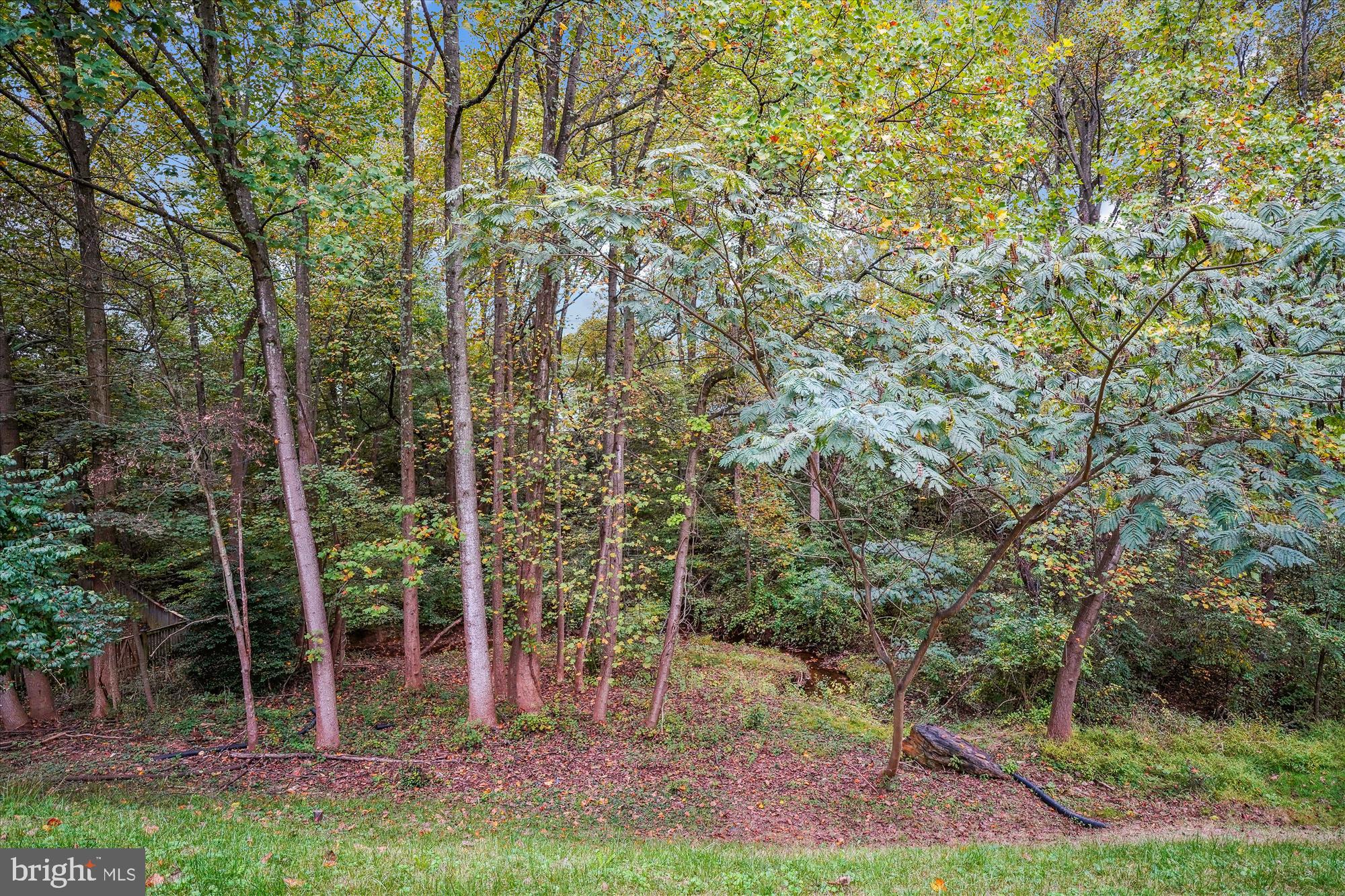 GAITHERSBURG TOWN - Residential