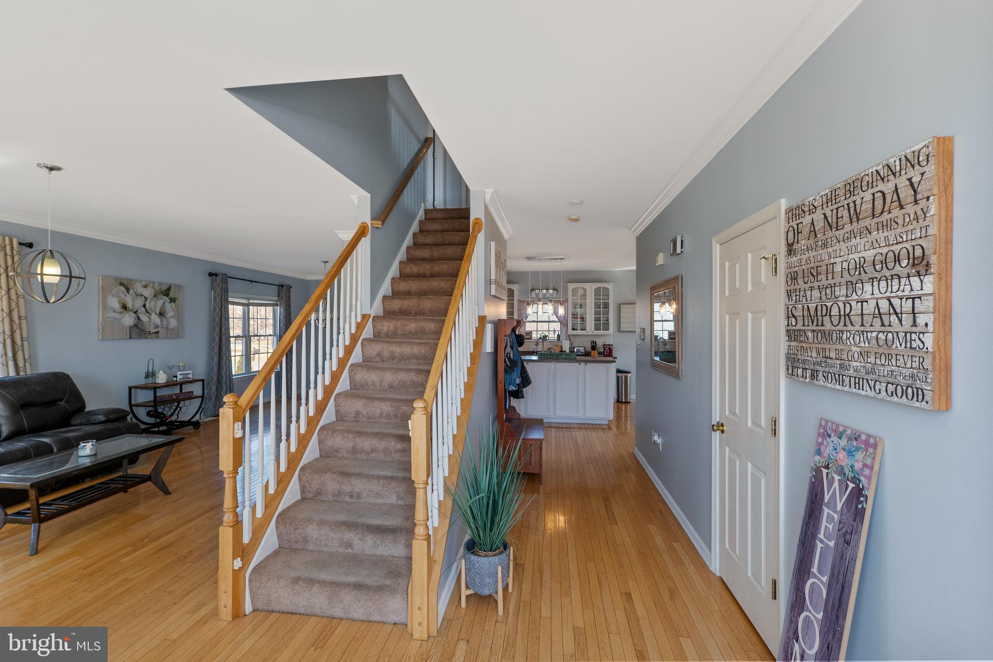 HAMMONDS MILL - Residential