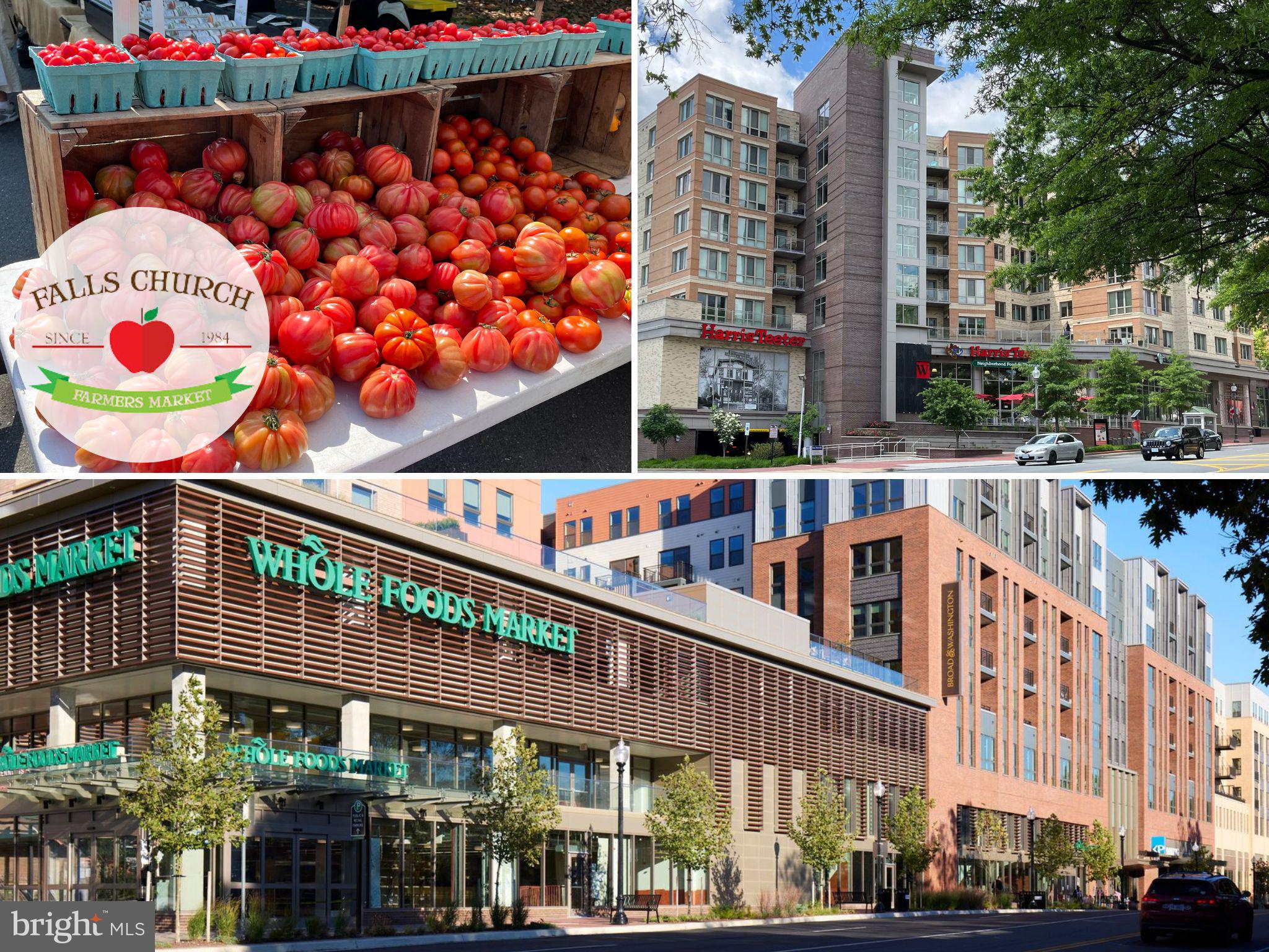 VIRGINIA FOREST - Residential