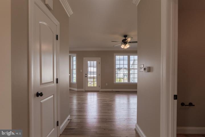 WEBBER SPRINGS - Residential