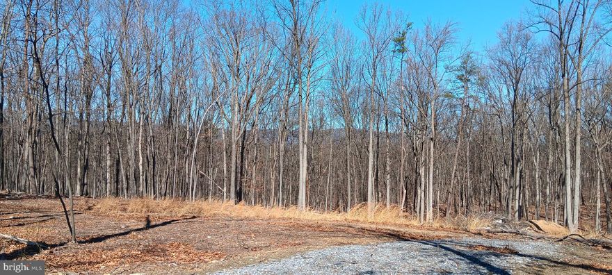BUILD YOUR DREAM HOME ON THIS BEAUTIFUL 5 ACRES IN SOUGHT AFTER CRESSEN RUN!  A space has already been cleared and a gravel driveway has been added to this gorgeous wooded corner lot to make way for your future home. Far enough from the hustle and bustle of town to feel like you're away from it all, but close enough to get to shopping and industry in just a short drive. This one is a must-see! Schedule your showing today!
