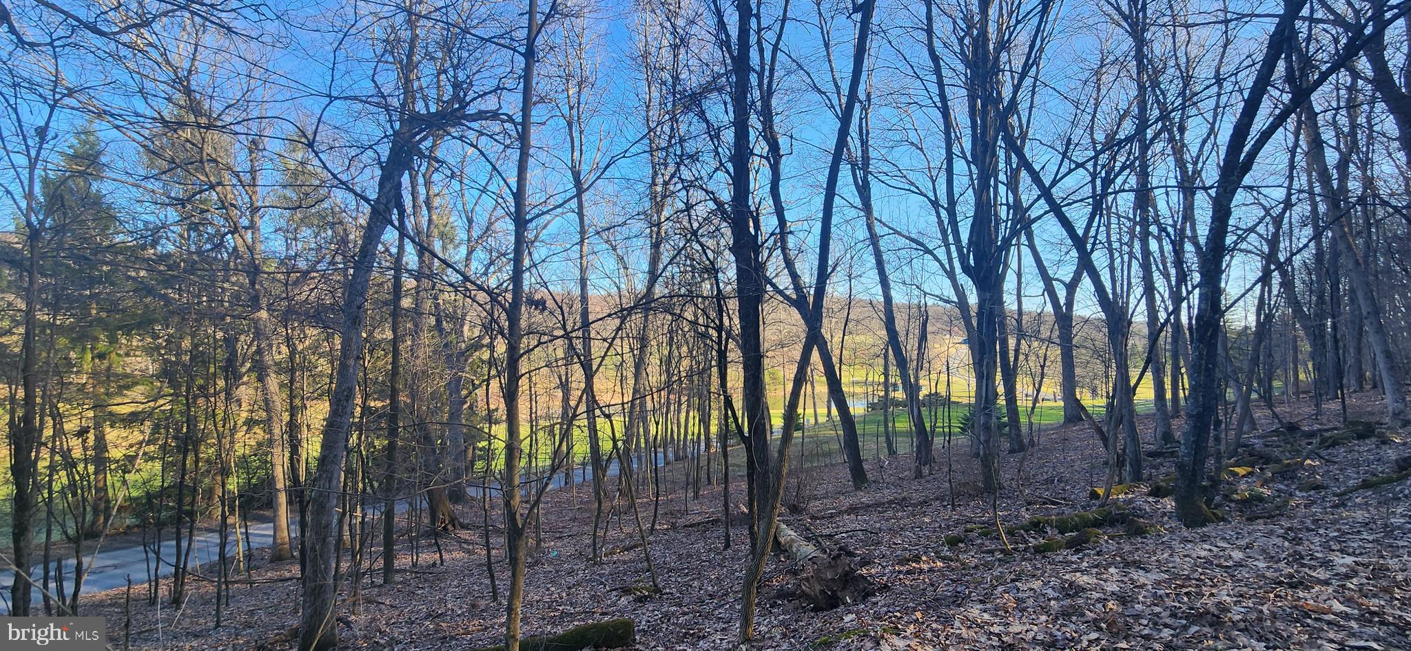 COUNTRY CLUB ACRES - Land