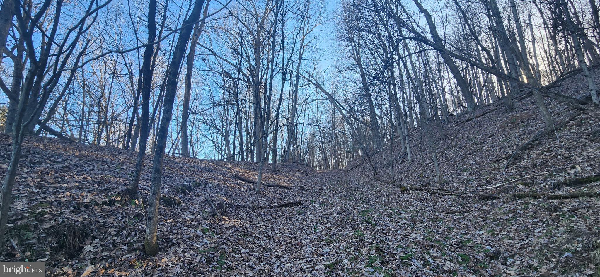 COUNTRY CLUB ACRES - Land