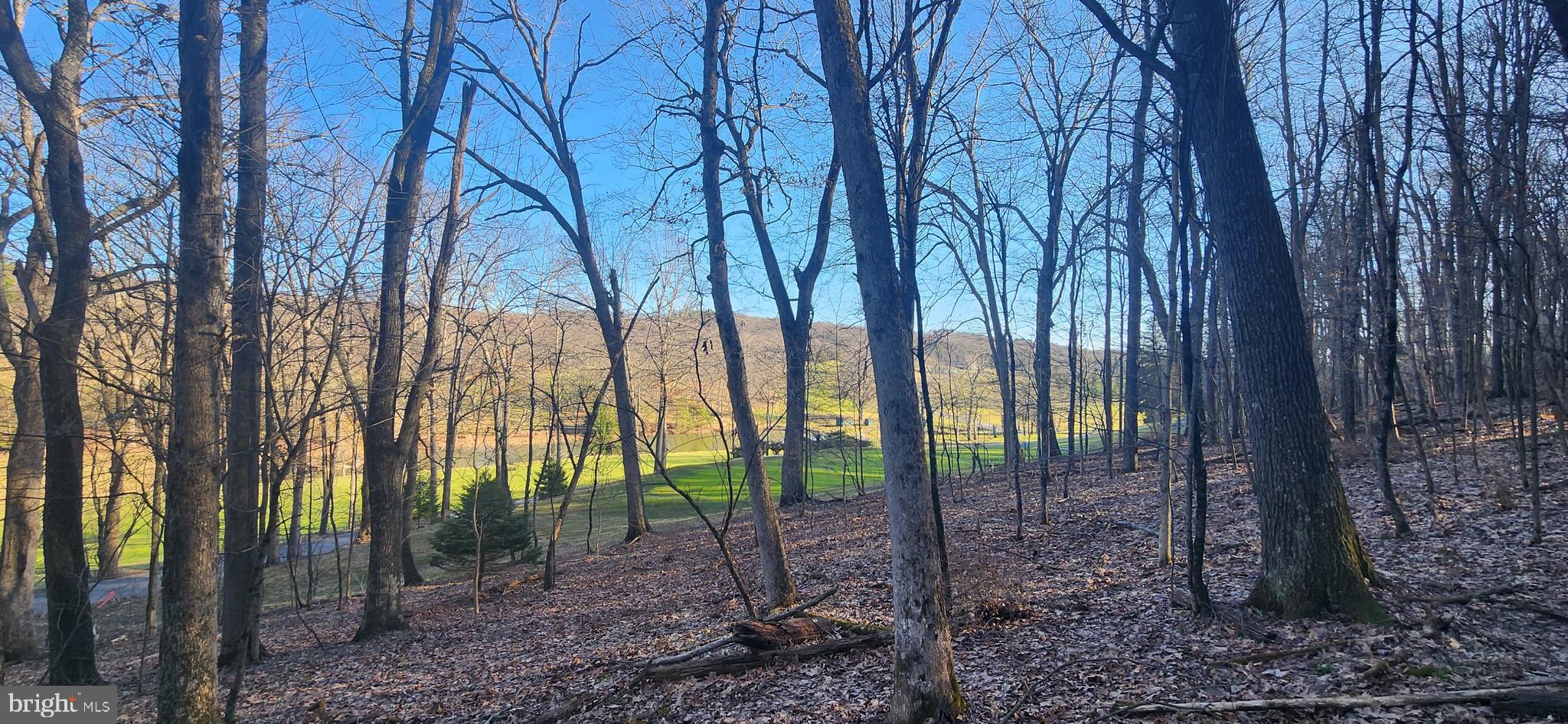 COUNTRY CLUB ACRES - Land