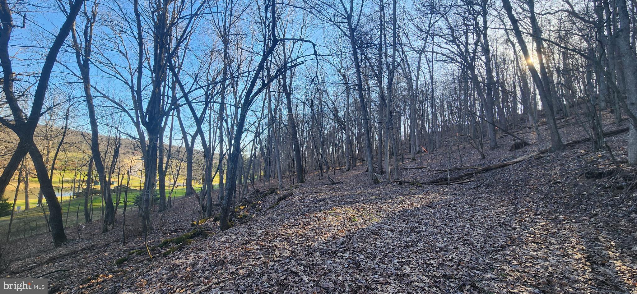 COUNTRY CLUB ACRES - Land