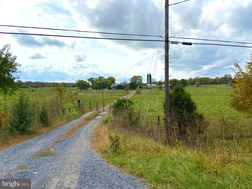 Emerald fields, perfect pastures, and historic structures   all describe this amazing farm opportunity, only a half hour from Leesburg, 10 minutes to Winchester, five minutes to Berryville, and one minute to paradise. 
247.85 acres in total, there are 3 DURs, one existing tenant house (182 Rutherford Lane, occupied and rented month to month), and one romantic restoration project of a farm house! Also two silos, a large run in shed, and multiple outbuildings in various forms of condition.  At only $7129/acre, the value is in the amazing acreage and the houses and improvements are free. Land is absolutely gorgeous, ideal for continued cattle farming or renovated into a dream equestrian estate. Asking $1,767,000 total.