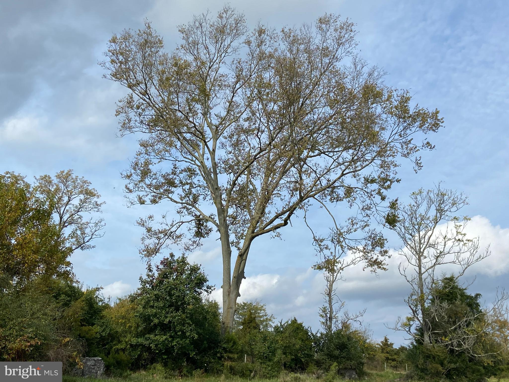 CLARKE COUNTY - Farm