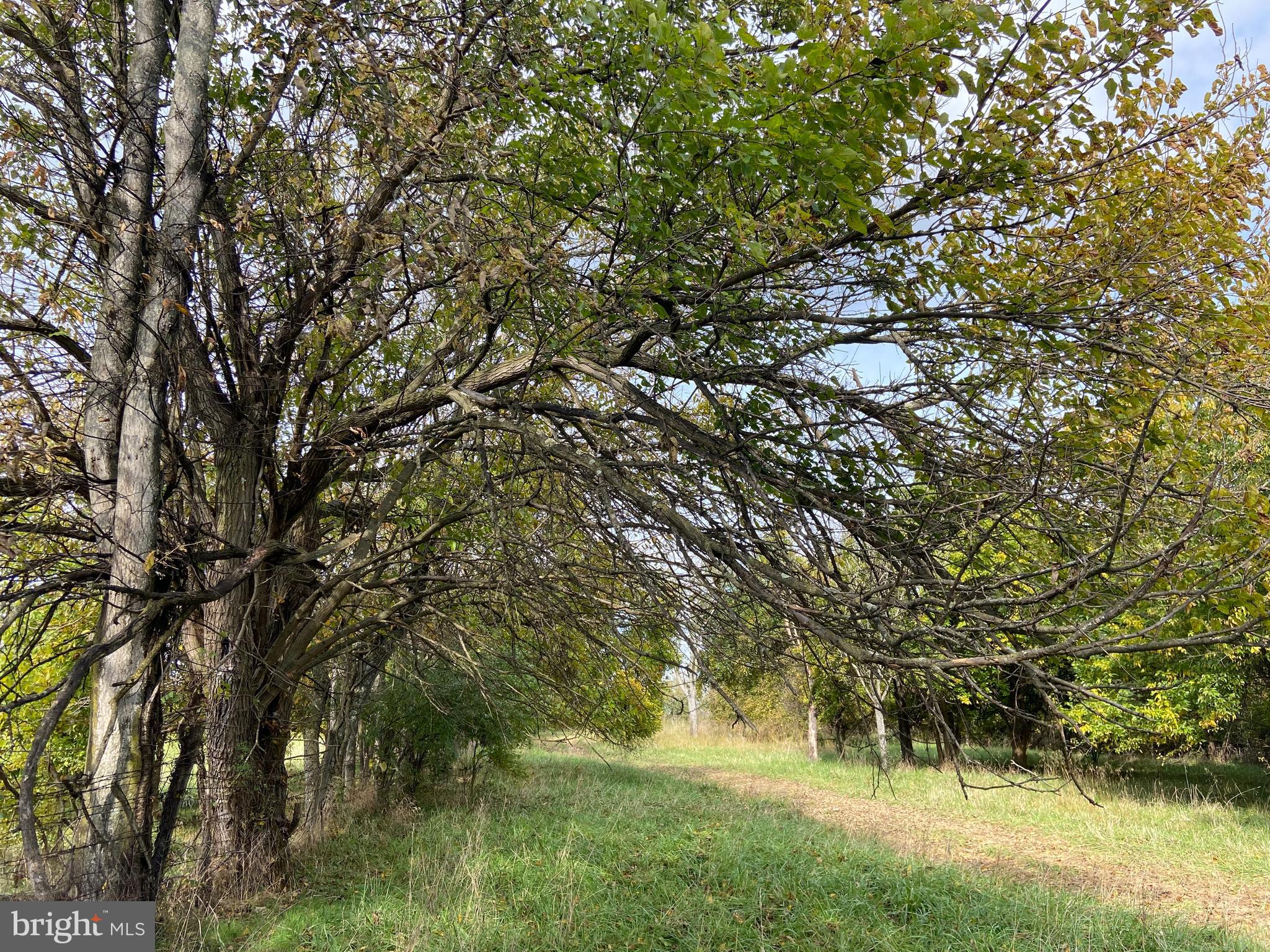 CLARKE COUNTY - Farm