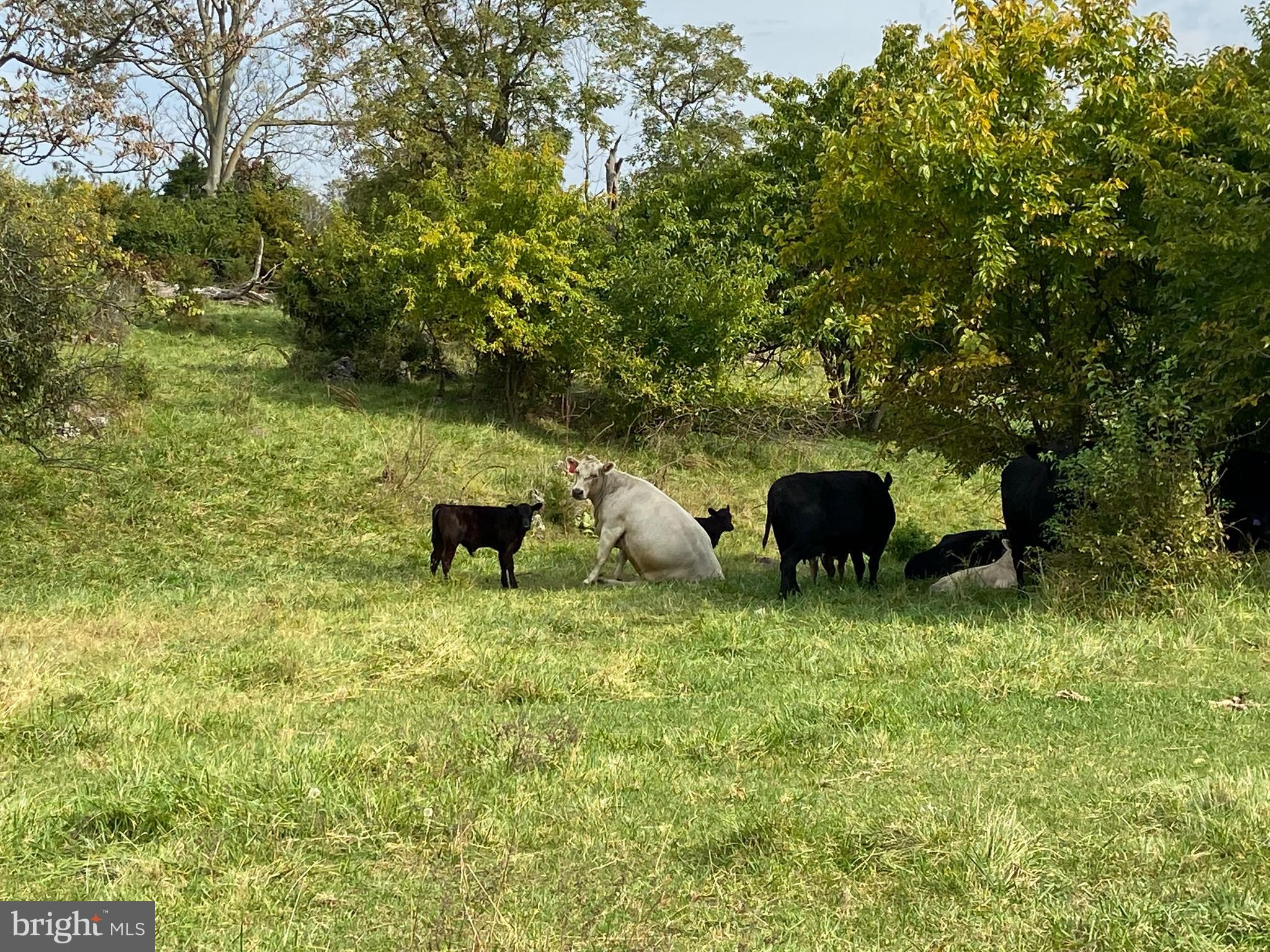 CLARKE COUNTY - Farm