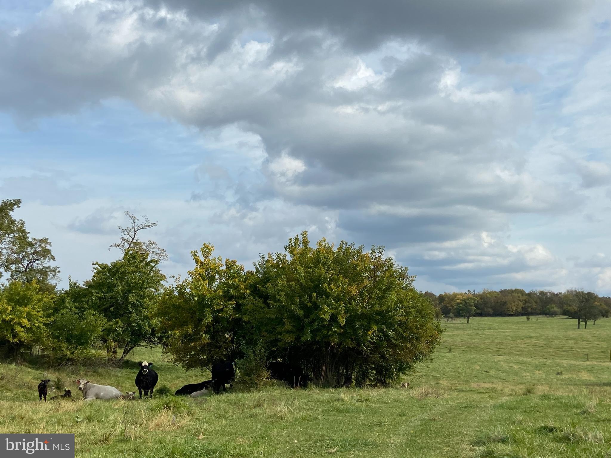 CLARKE COUNTY - Farm