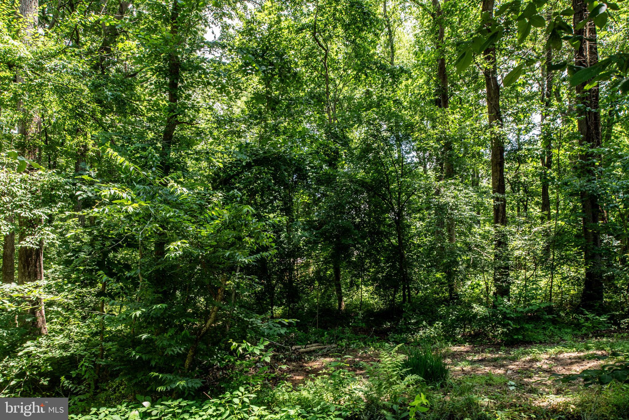 LAKE ACRES - Residential