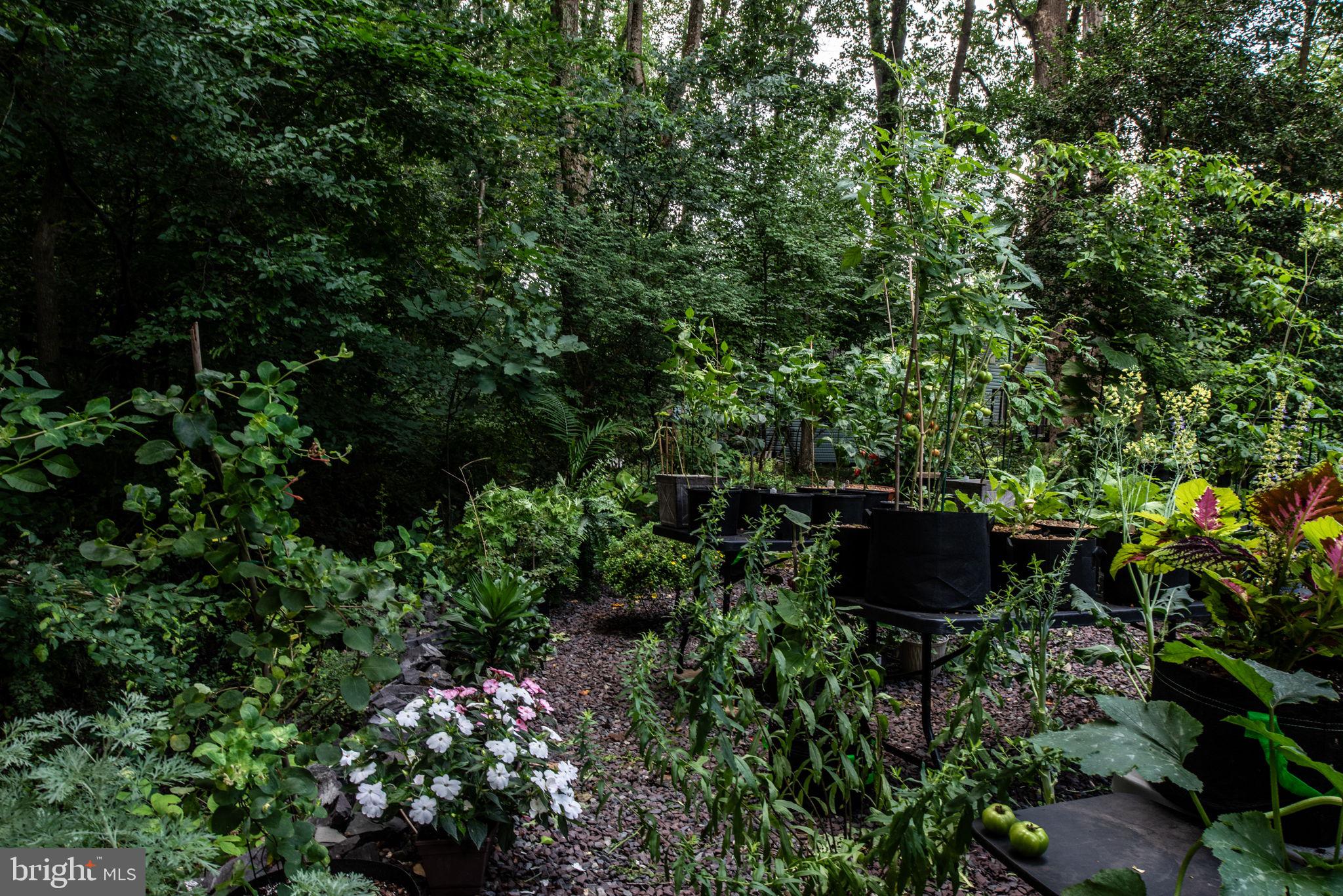 LAKE ACRES - Residential