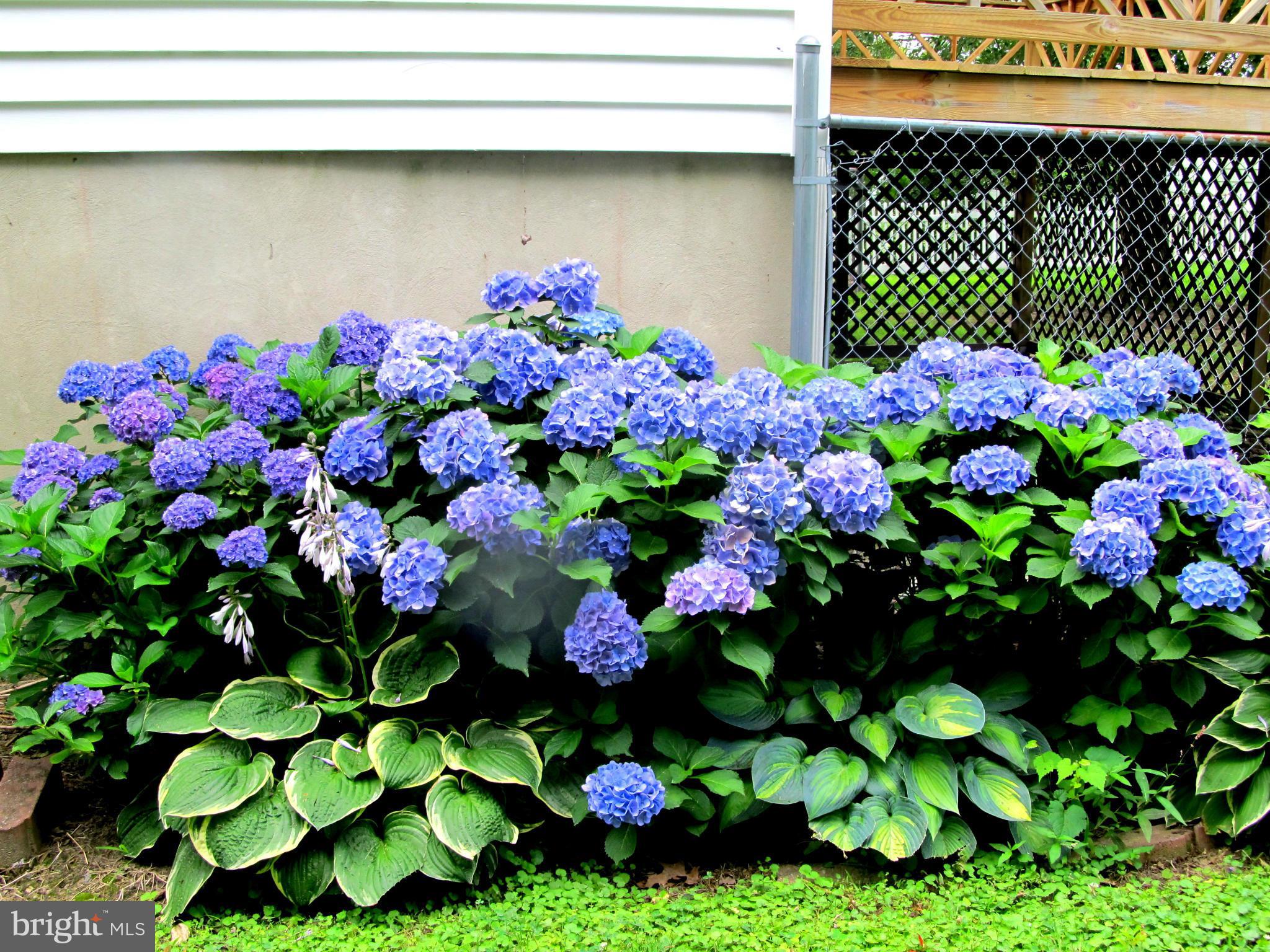 WOODLAWN HEIGHTS - Residential