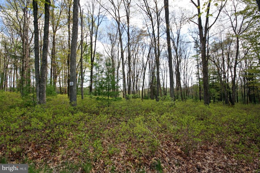 Here's your chance to purchase a beautiful homesite on the newly finished back nine in the Cathedral Springs section of Thousand Acres. The tranquil feeling you get while pulling up to this lot is very calming. Positioning your dream home will be a hard decision, every angle is very pretty. Thousand Acres Golf Course boasts a 9-hole community course with the back 9 holes opening soon (purchase includes a golf membership!). Another great amenity is the nearby lake access where you can enjoy the waterfront - kayak, paddle board, fish or swim. Plans are in the works for a future golf clubhouse to be built. The only thing missing from this great homesite is your dream home!