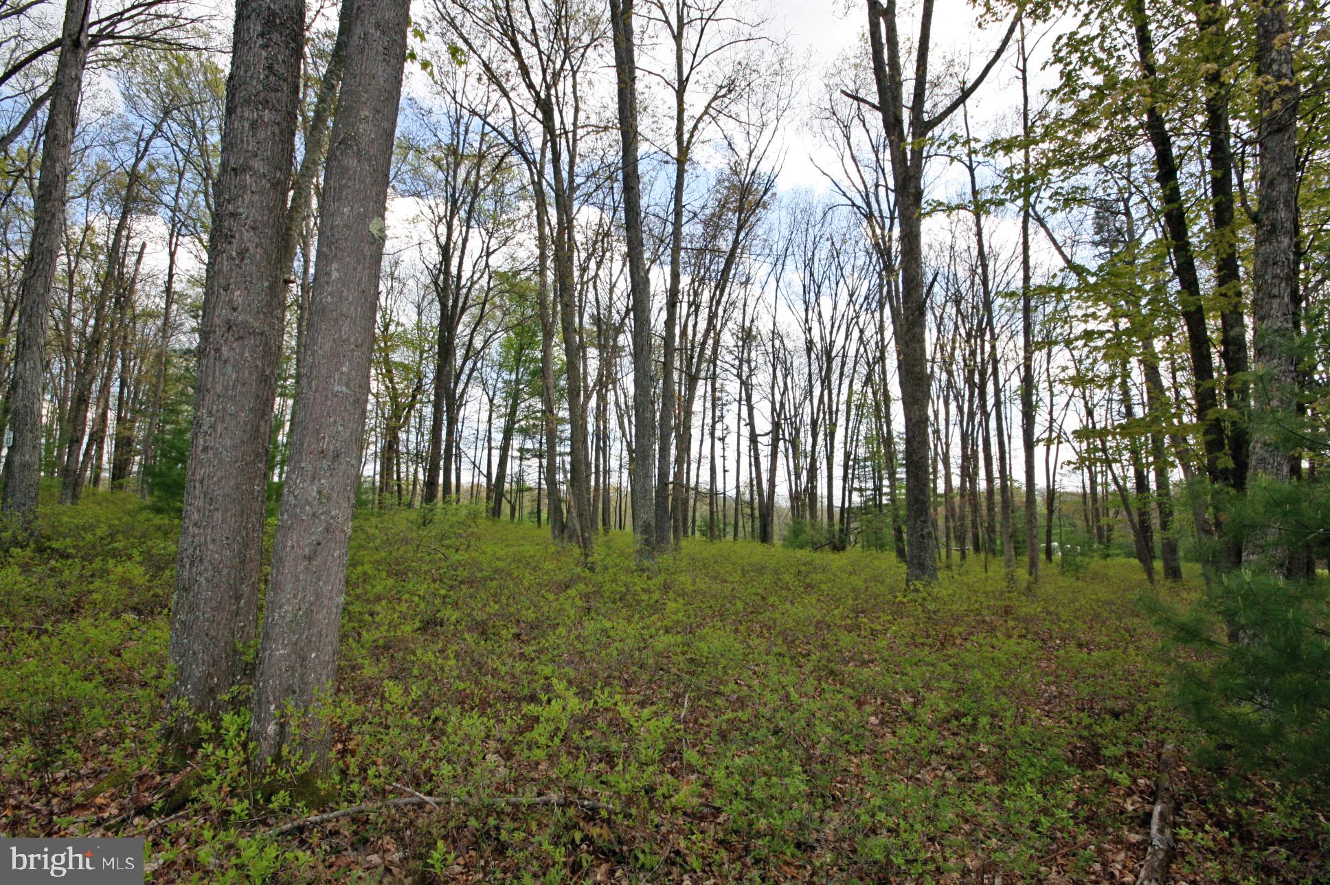 THOUSAND ACRES - Land