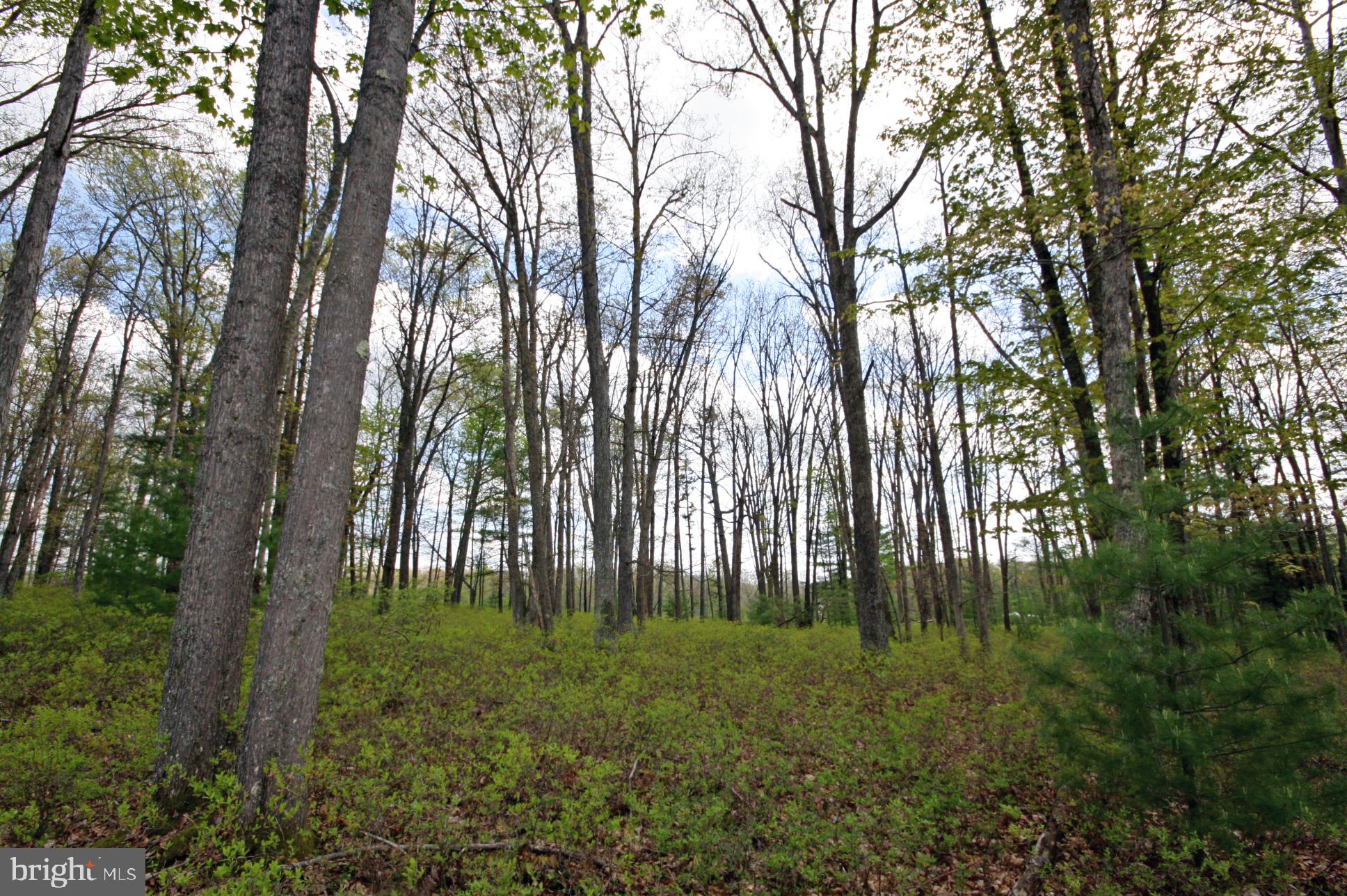 THOUSAND ACRES - Land