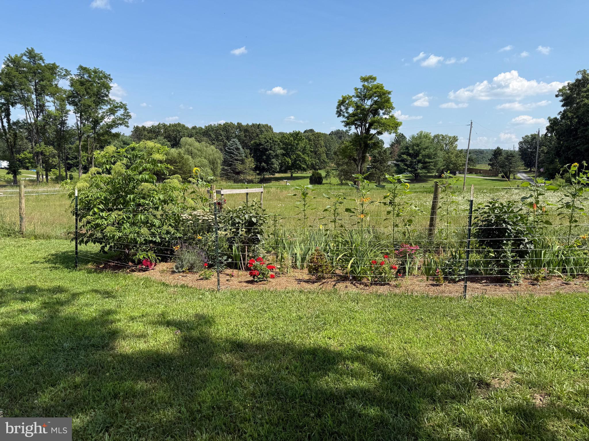 THE POINTS - Residential