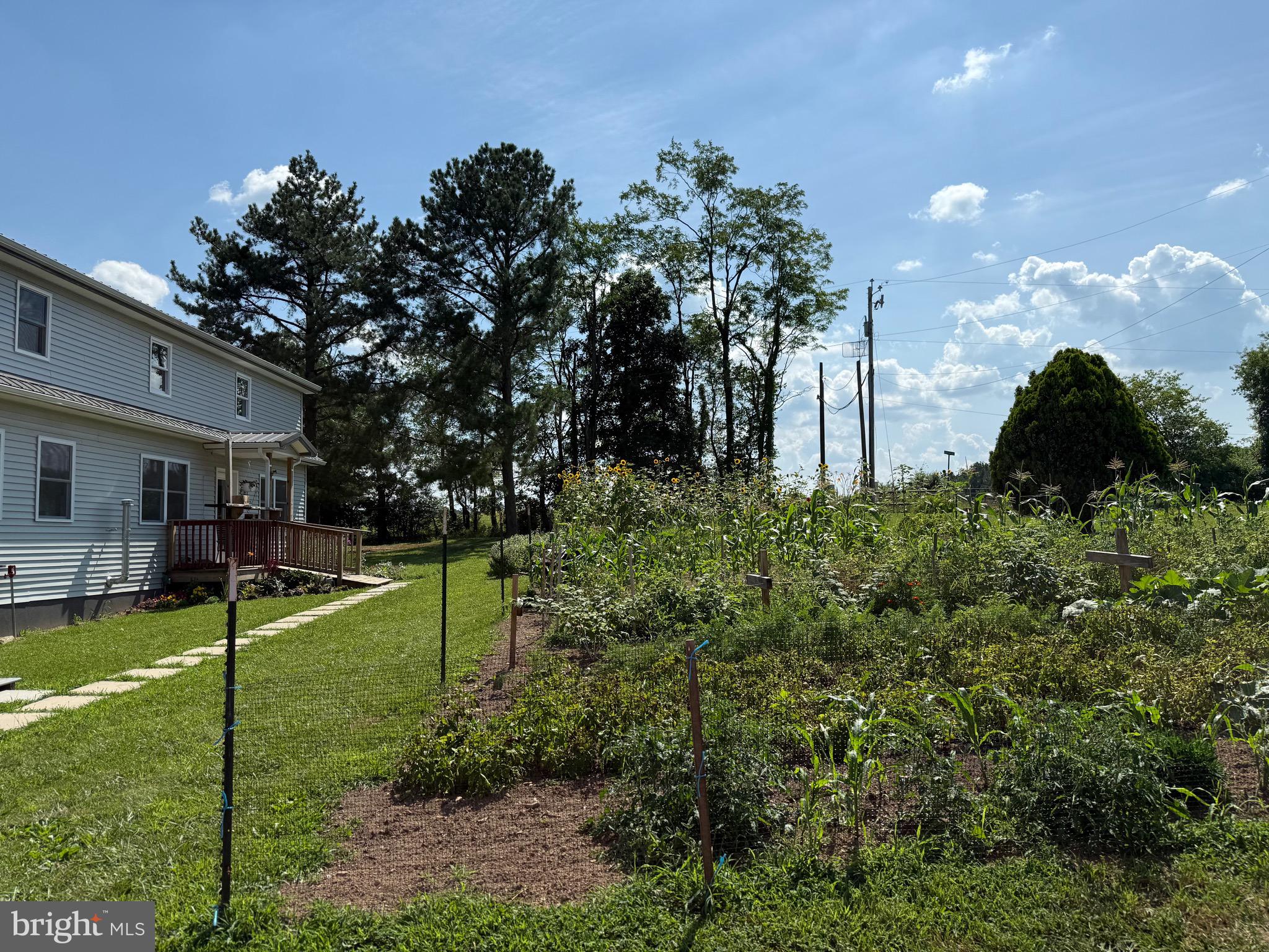 THE POINTS - Residential