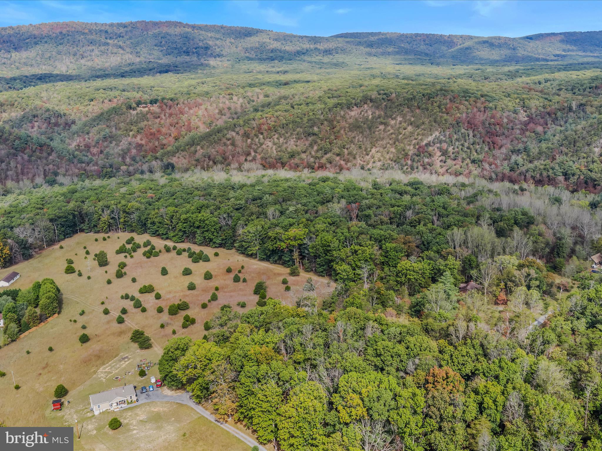 MORGAN WOODS - Residential