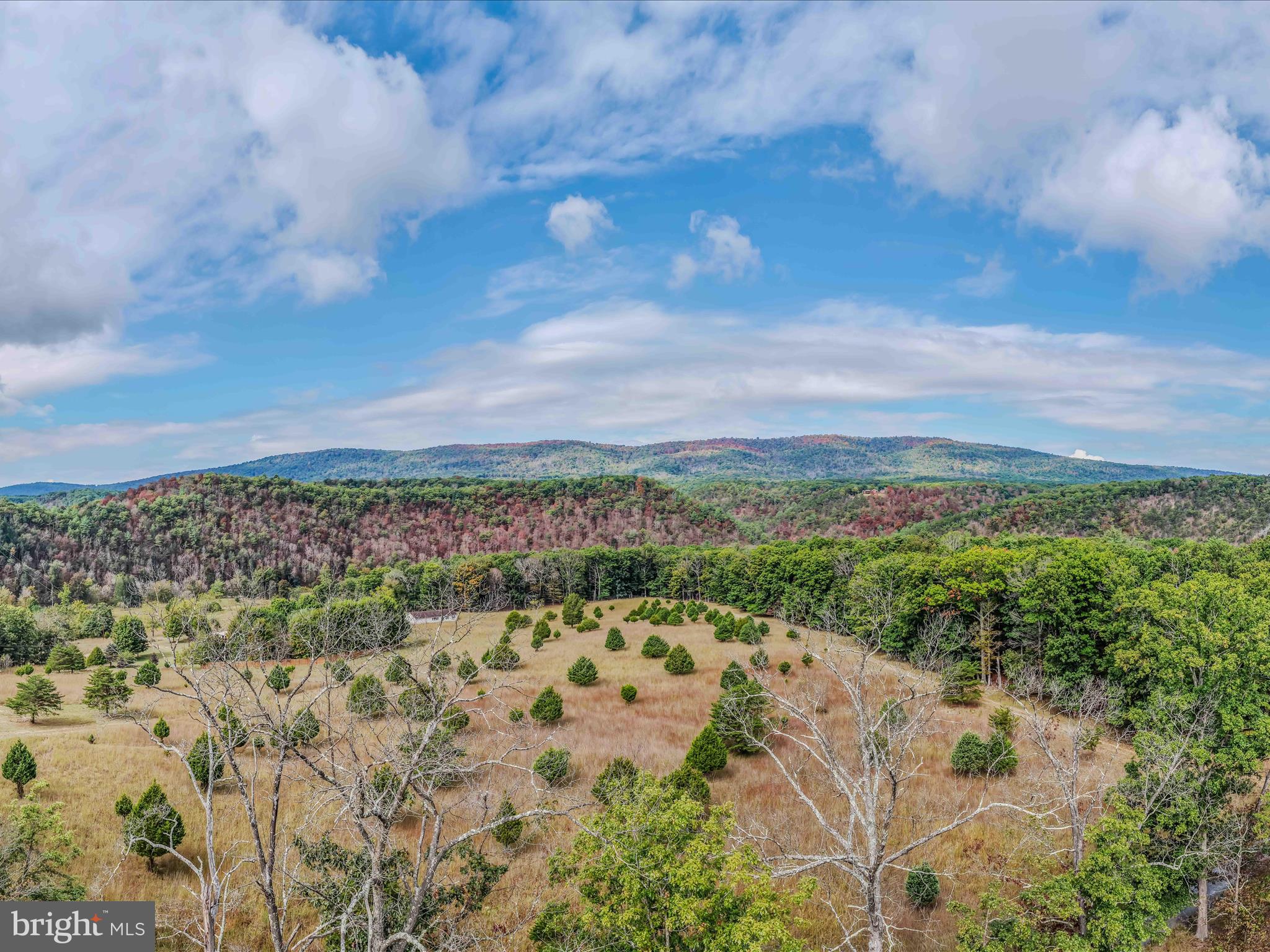 MORGAN WOODS - Residential