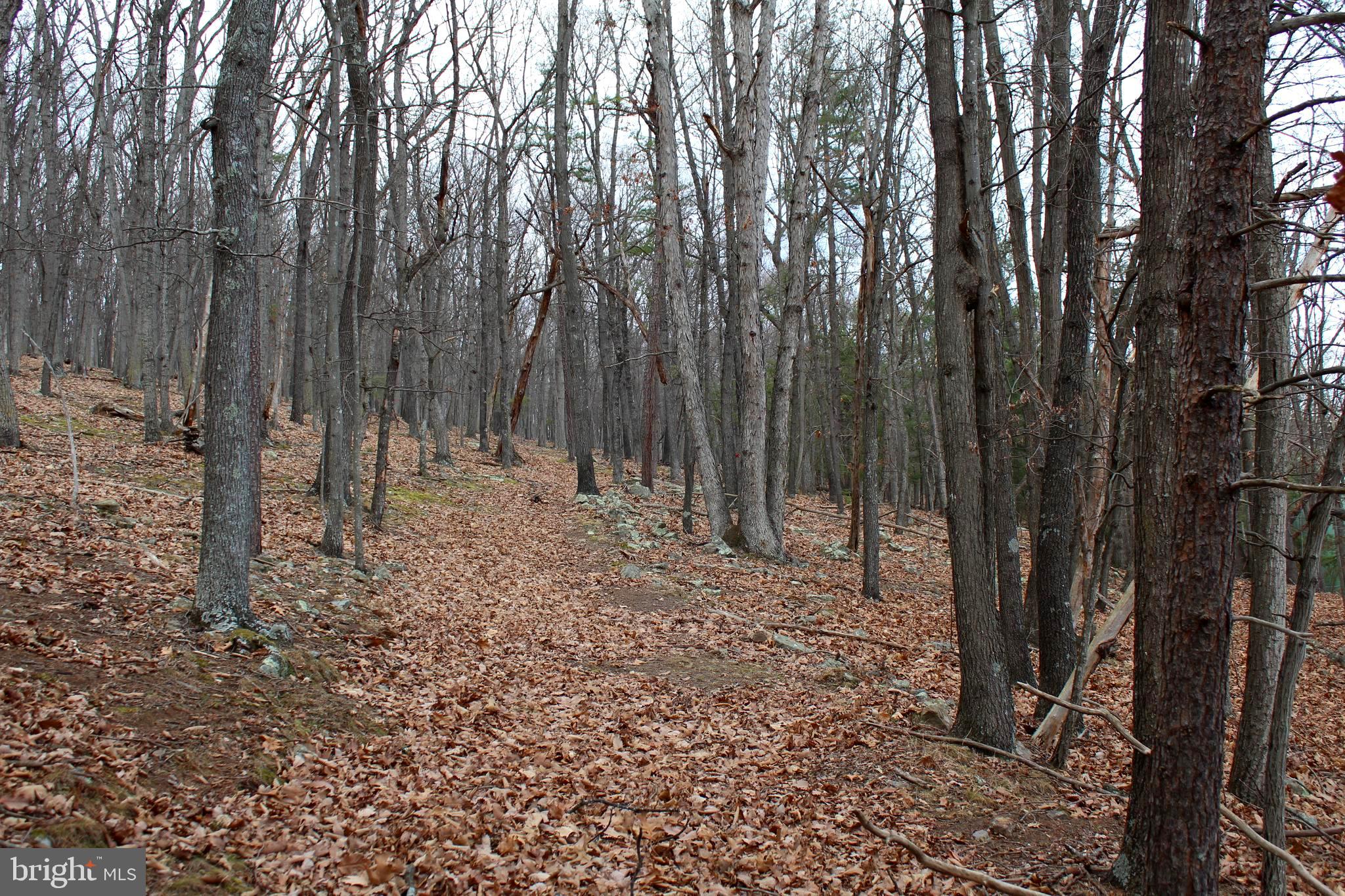 NONE-UNRESTRICTED - Residential