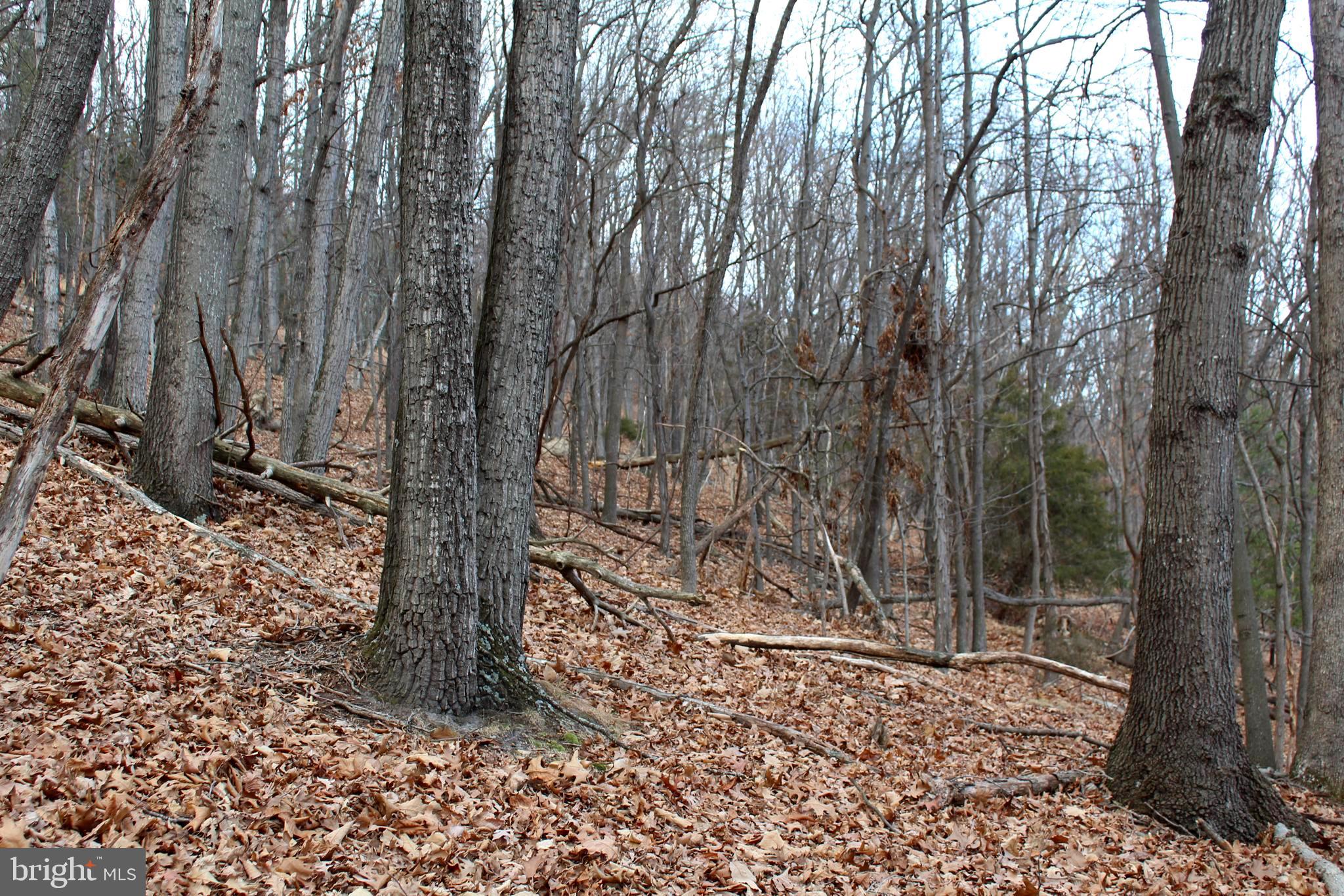 NONE-UNRESTRICTED - Residential