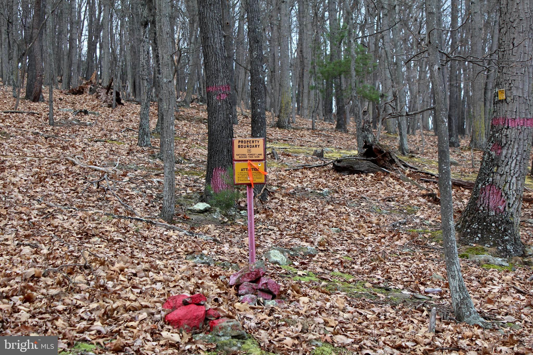 NONE-UNRESTRICTED - Residential