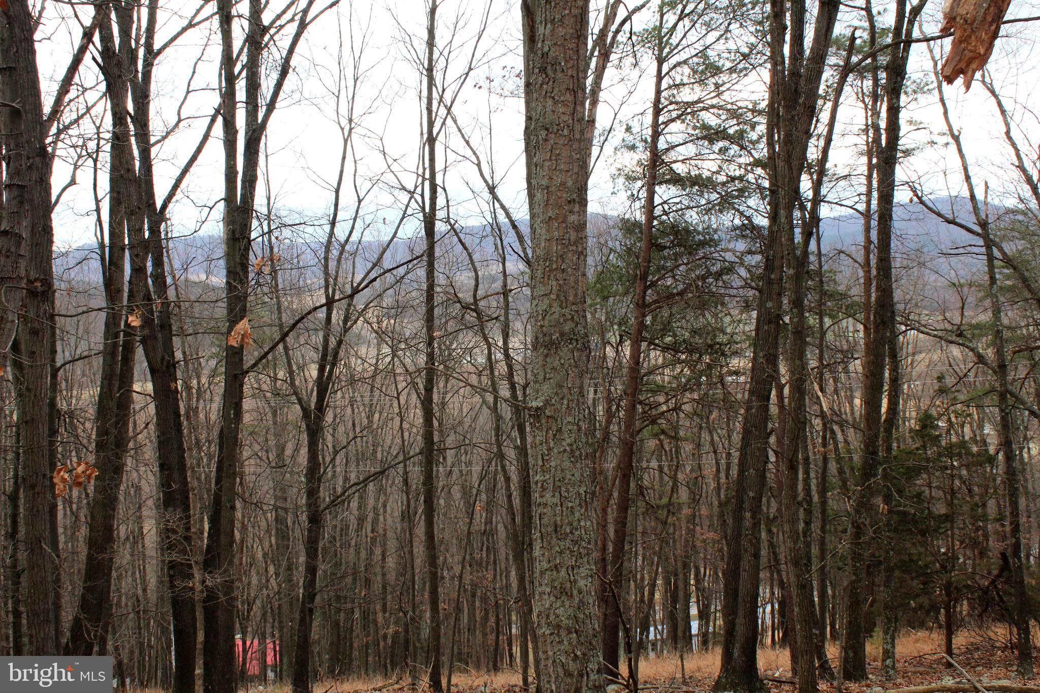 NONE-UNRESTRICTED - Residential