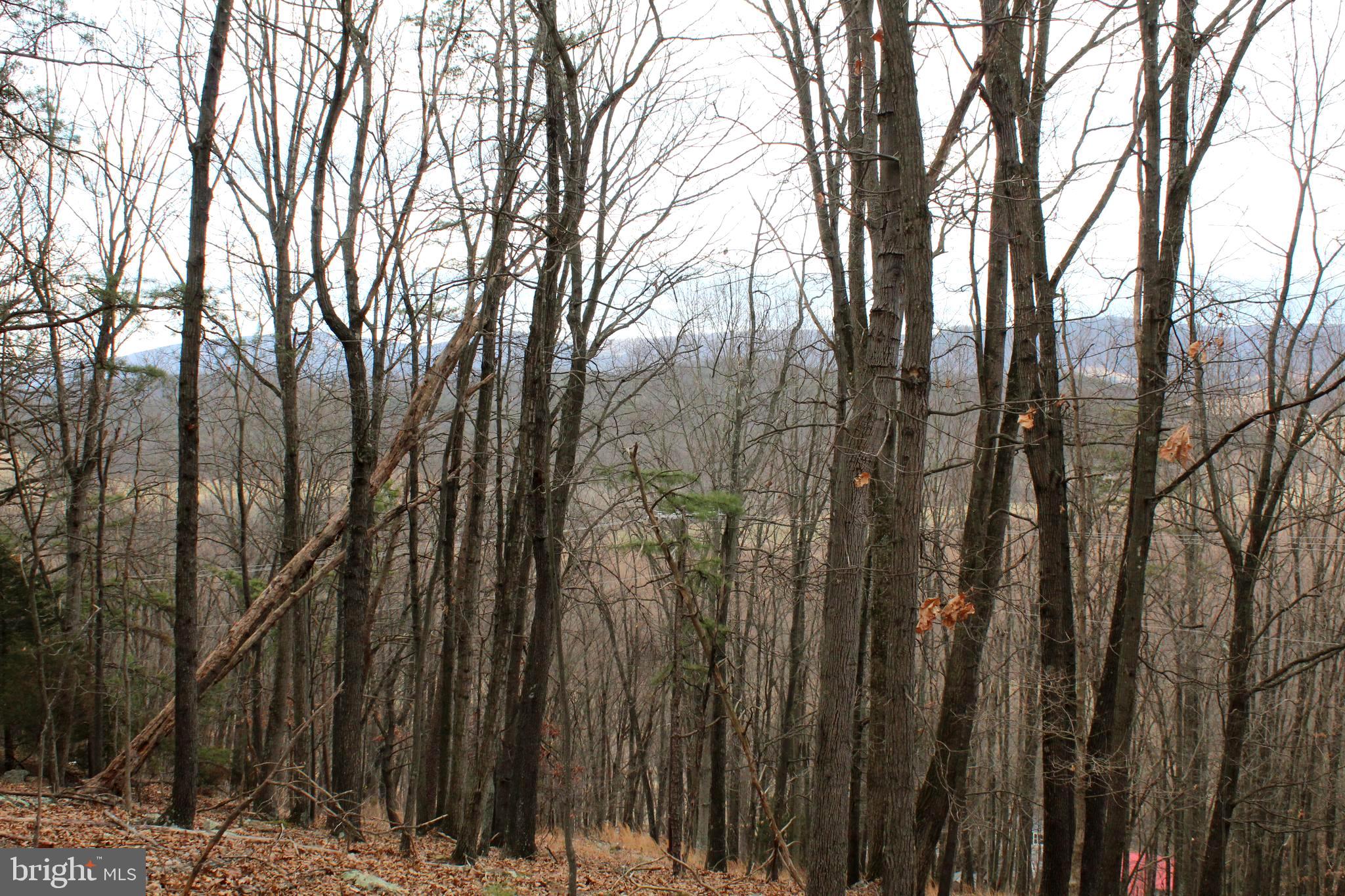 NONE-UNRESTRICTED - Residential