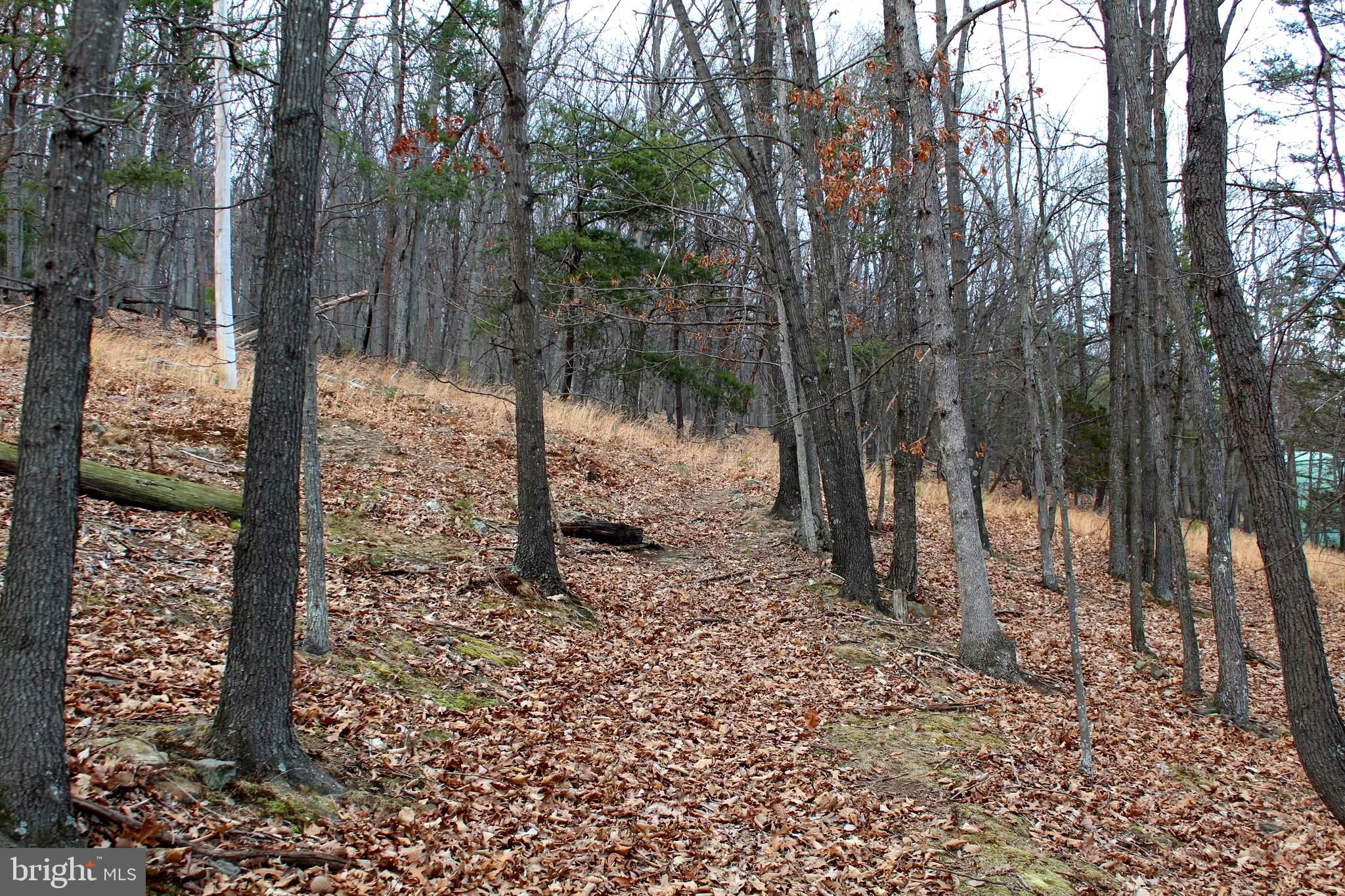 NONE-UNRESTRICTED - Residential