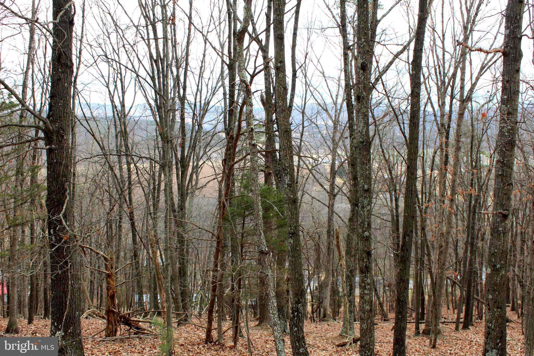 NONE-UNRESTRICTED - Residential