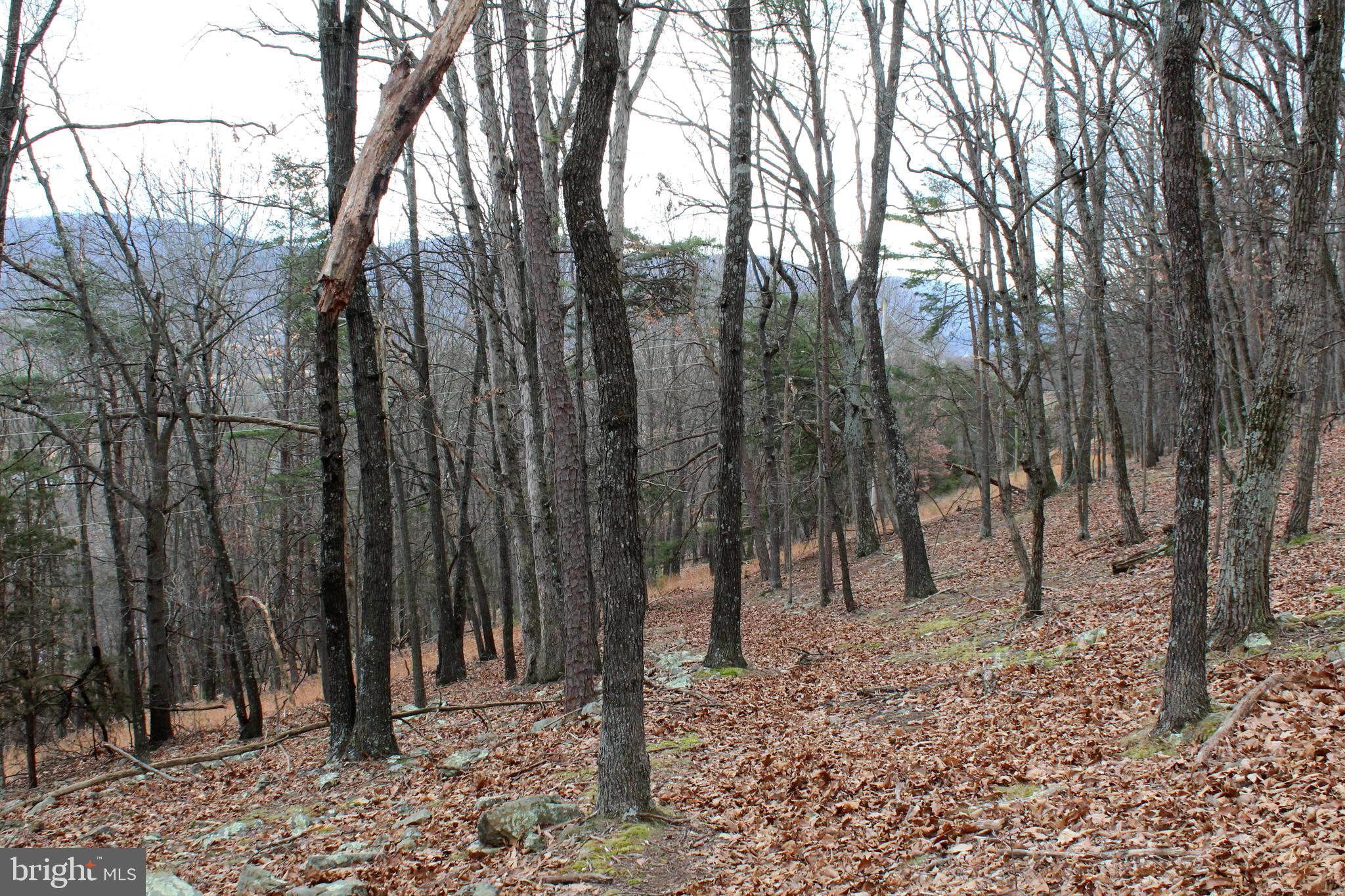 NONE-UNRESTRICTED - Residential