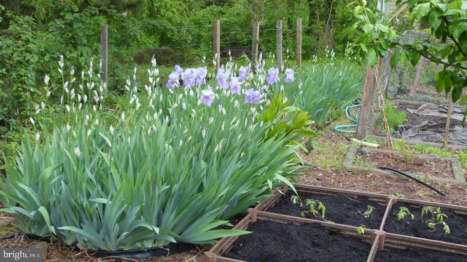 WOODHOLME - Residential