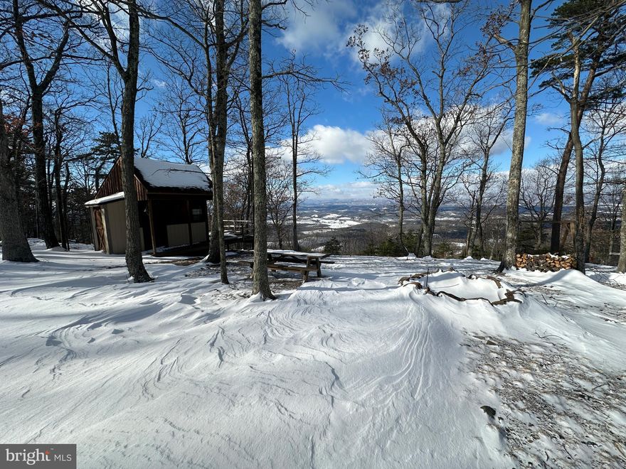 A COMPLETE 180.....20 WOODED ACRES ELEVATED AT NEARLY 1700 FT ATOP "MIDDLE RIDGE" WITH PRISTINE PANORAMIC VIEWS OF WESTERN MOUNTAIN RANGES AND THE PATTERSON CREEK VALLEY. PROTRUDED BUILD SITE FACES DUE WEST, YET OFFERS UNOBSTRUCTED VIEWS TO NORTH AND SOUTH FOR 180 DEGREES OF PANORAMIC PLEASURE. THE HIGHEST ELEVATED LOT IN THE COMMUNITY WITH THE BEST VIEWS MONEY CAN BUY IN THE MOUNTAIN STATE. SAVE BIG ON INFRASTRUCTURE COSTS, OVER 40K IN LAND IMPROVEMENTS ALREADY COMPLETE: DRIVEWAY INSTALLED, WELL DRILLED(needs pump system) AND NICE SHED WITH UNDERGROUND ELECTRIC SERVICE. IF YOU BACK THE IMPROVEMENTS OUT OF THE STICKER PRICE, YOU'RE ONLY TALKING ABOUT 150K FOR A LOT OF THIS QUALITY! A NO BRAINER.....PERKED FOR STANDARD SEPTIC TOO....LOTS OF USABLE GROUND ON TOP OF THE RIDGE AND THE SLOPED PART IS MORE USABLE THAN YOU THINK, SEVERAL OLD LOGGING TRAILS  CROSS THE LAND. LOCATED IN THE PRESTIGIOUS GATED COMMUNITY OF "THE BLUFFS ON THE POTOMAC".....THE BLUFFS IS KNOWN FOR IT'S ABUNDANCE OF BIG BUCKS, BEAR & TURKEY. AS AN ADDED BONUS, THE COMMUNITY HAS IT'S OWN PRIVATE COMMON AREA ON THE SOUTH BRANCH OF THE POTOMAC RIVER FOR CANOE, KAYAK, TUBES, FISH & SWIM......A PRIVATE PARK ON THE RIVER FOR YOUR SUMMERTIME ENJOYMENT. THERE'S ONLY A SMALL HANDFUL OF LOTS IN THE BLUFFS THAT OFFER THE PREMIUM WESTERN VIEW, THIS IS ONE OF THE FEW REMAINING THAT HAVEN'T BEEN BUILT ON, GRAB ONE WHILE YOU CAN BECAUSE ODDS ARE....THIS IS YOUR LAST CHANCE.