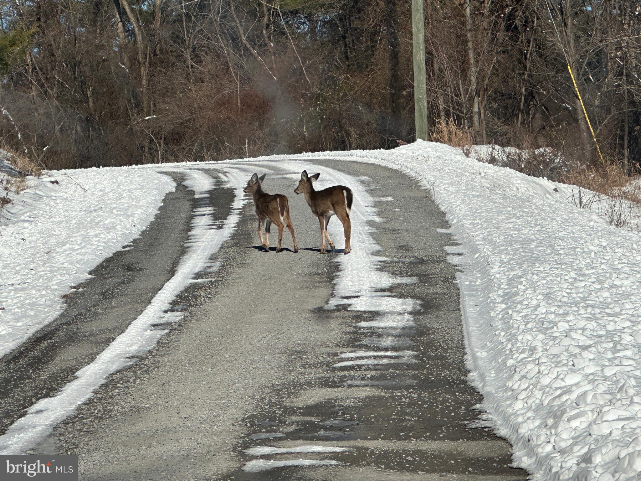 BLUFFS ON THE POTOMAC - Land