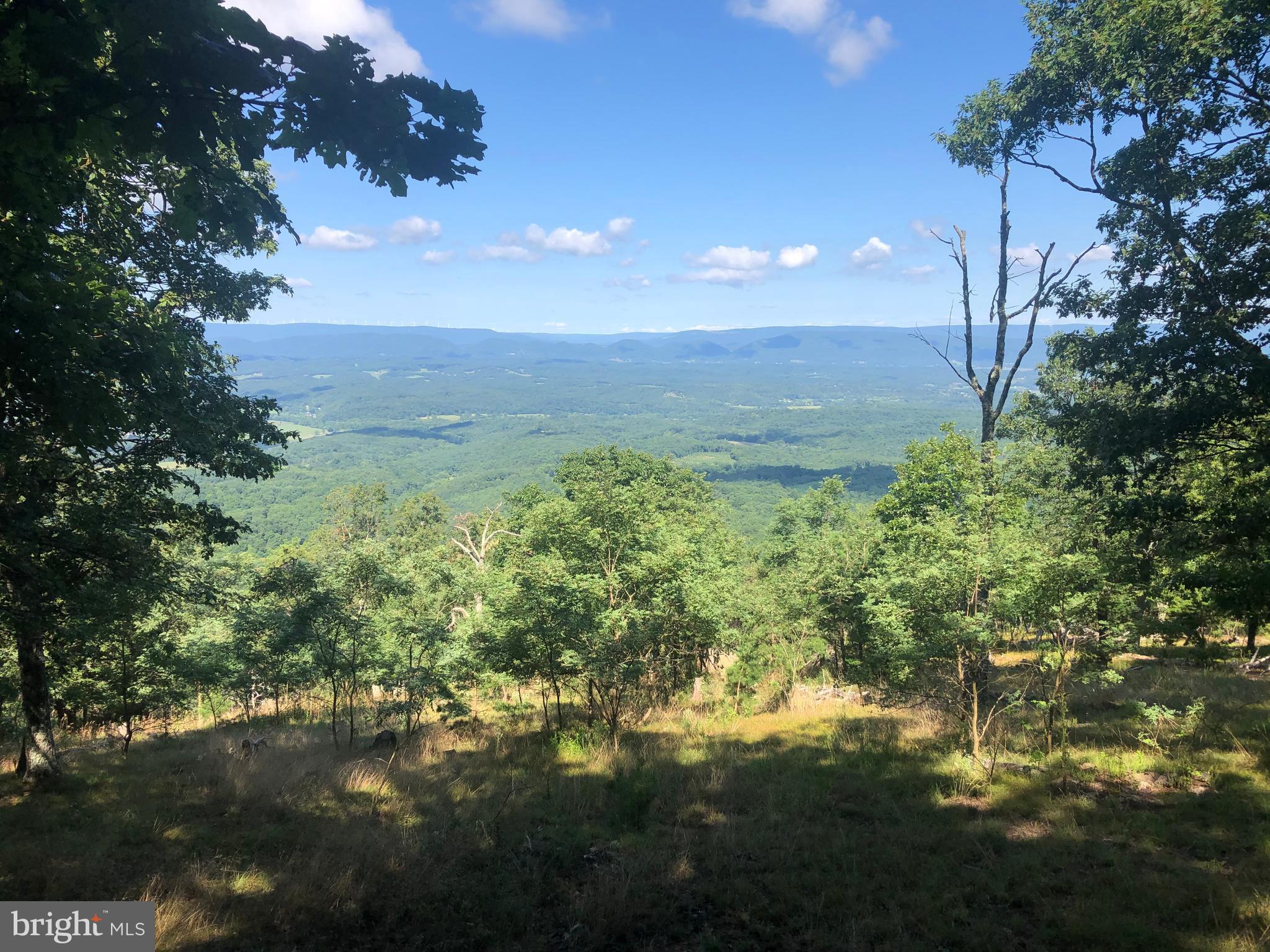 BLUFFS ON THE POTOMAC - Land