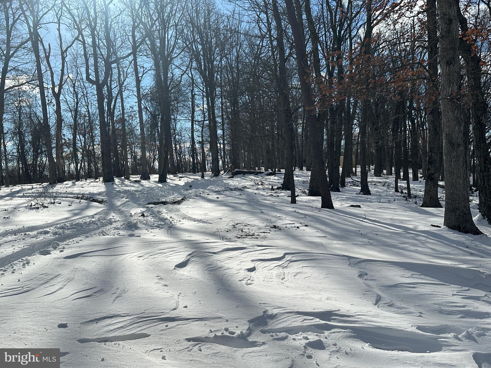 BLUFFS ON THE POTOMAC - Land